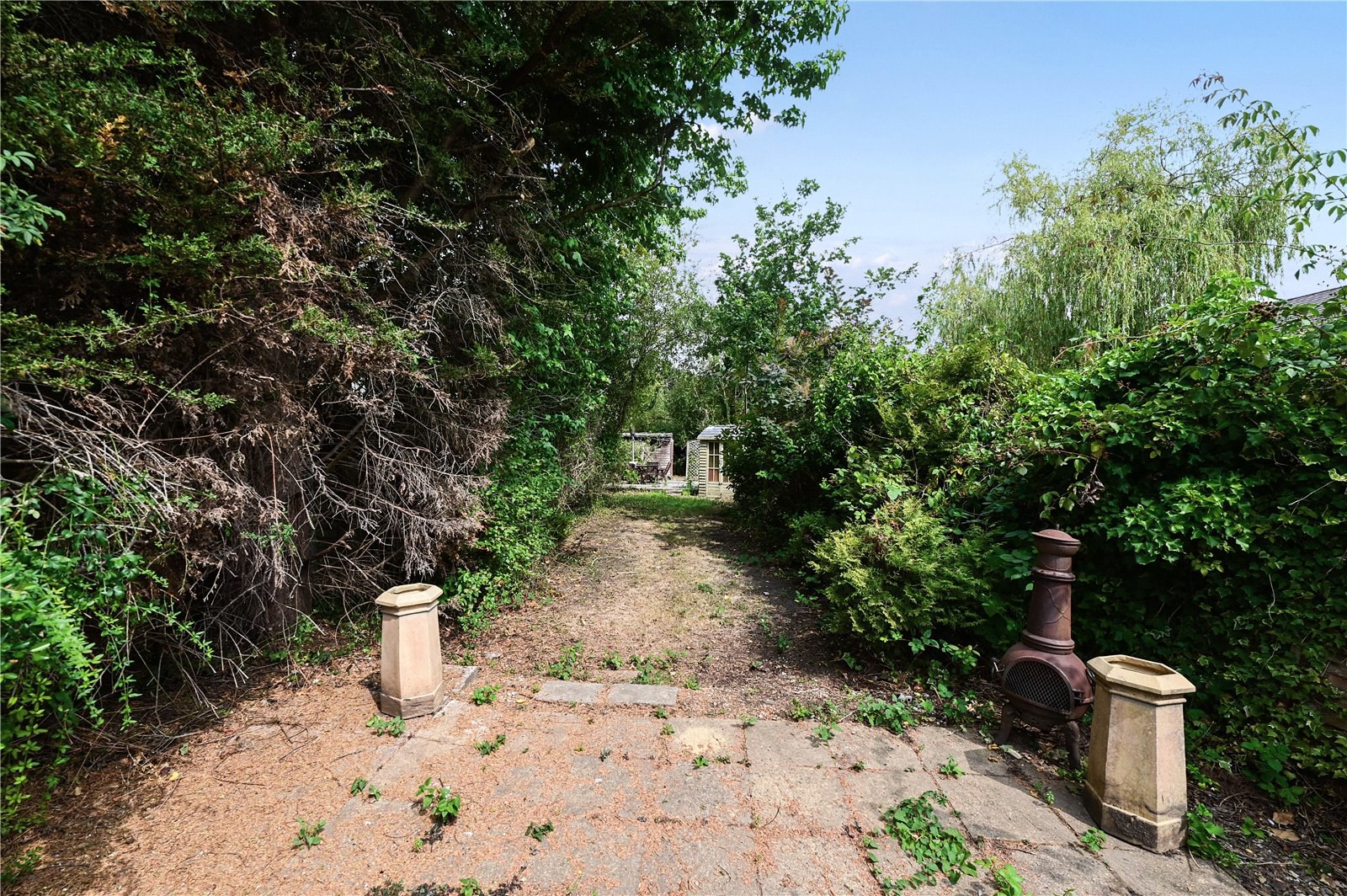 Photo 11