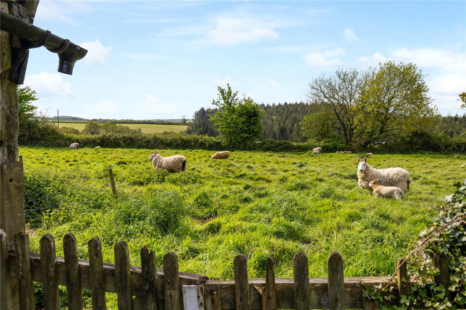 Chawleigh, Chulmleigh, Devon, EX18, photo 16