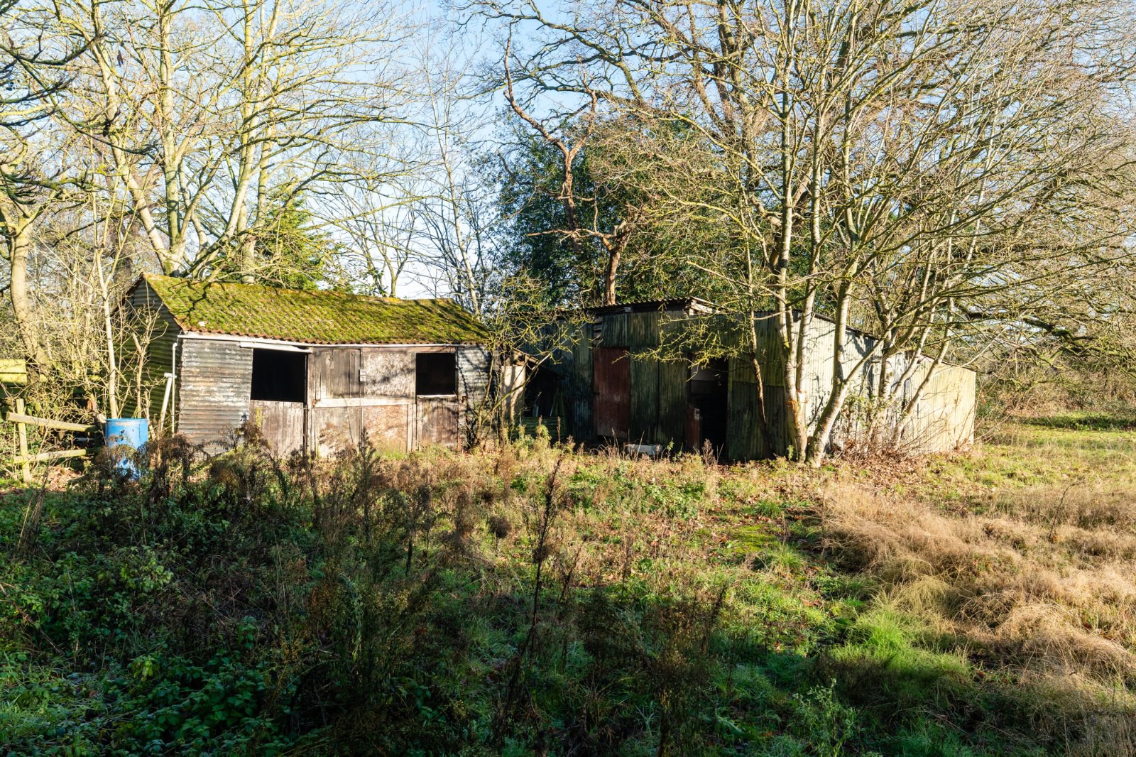 The Folley, Layer de La Haye, Colchester, Essex, CO2, photo 10
