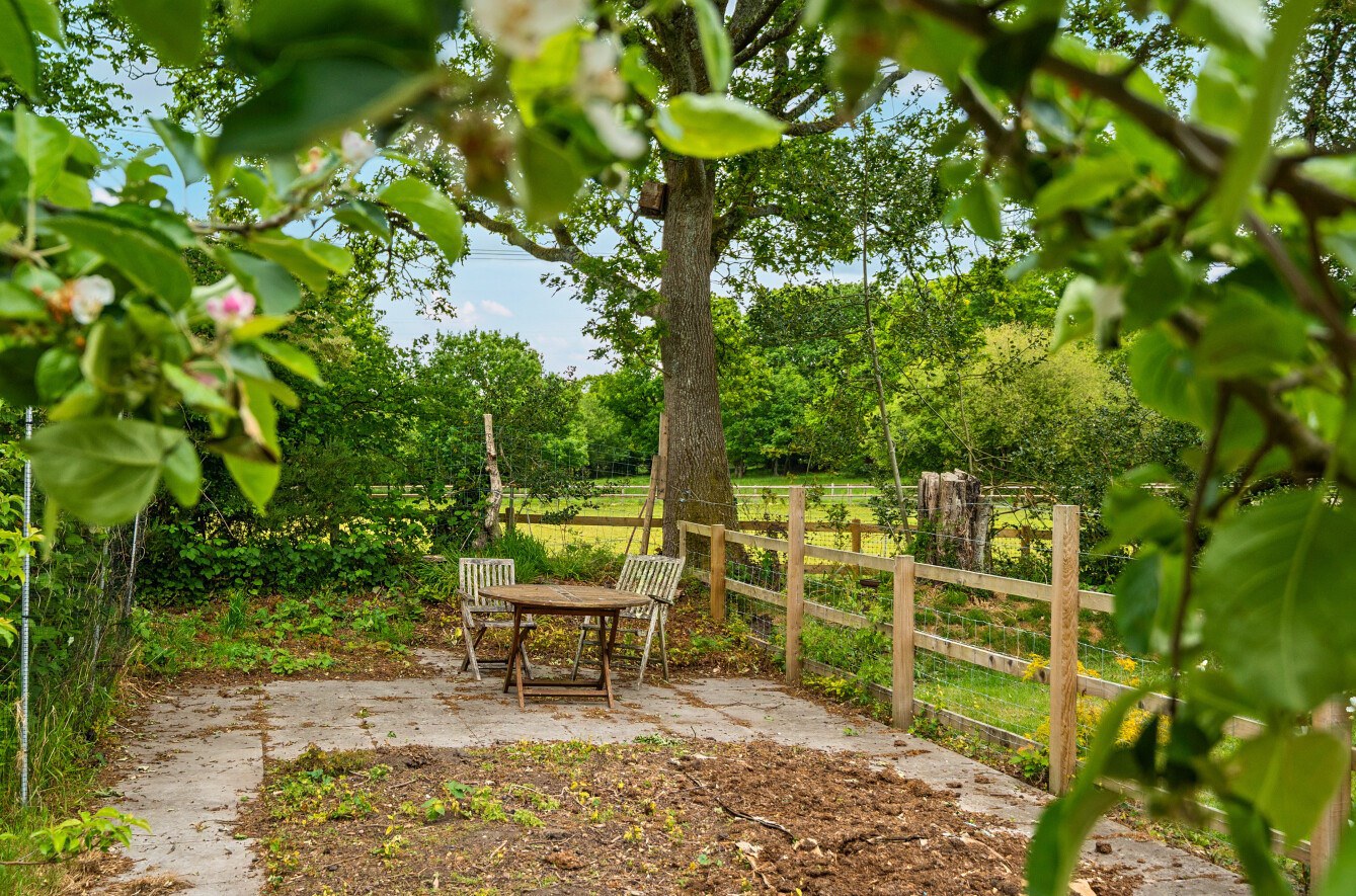 School Road, Nomansland, Salisbury, SP5, photo 22