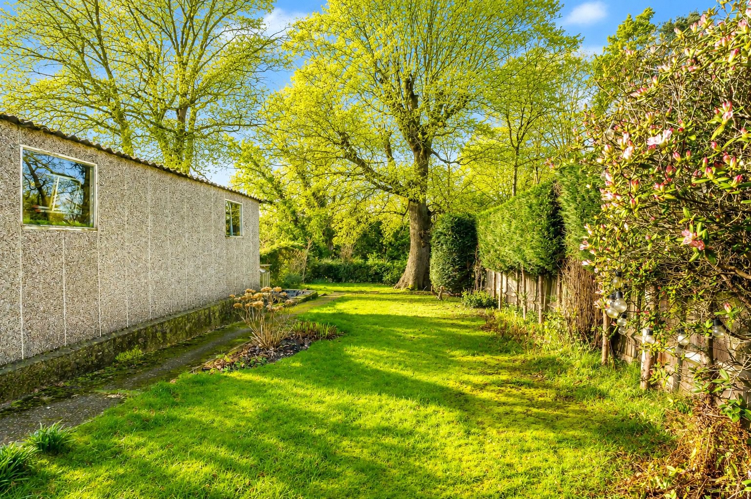 Thorn Road, Boundstone, Farnham, Surrey, GU10, photo 4