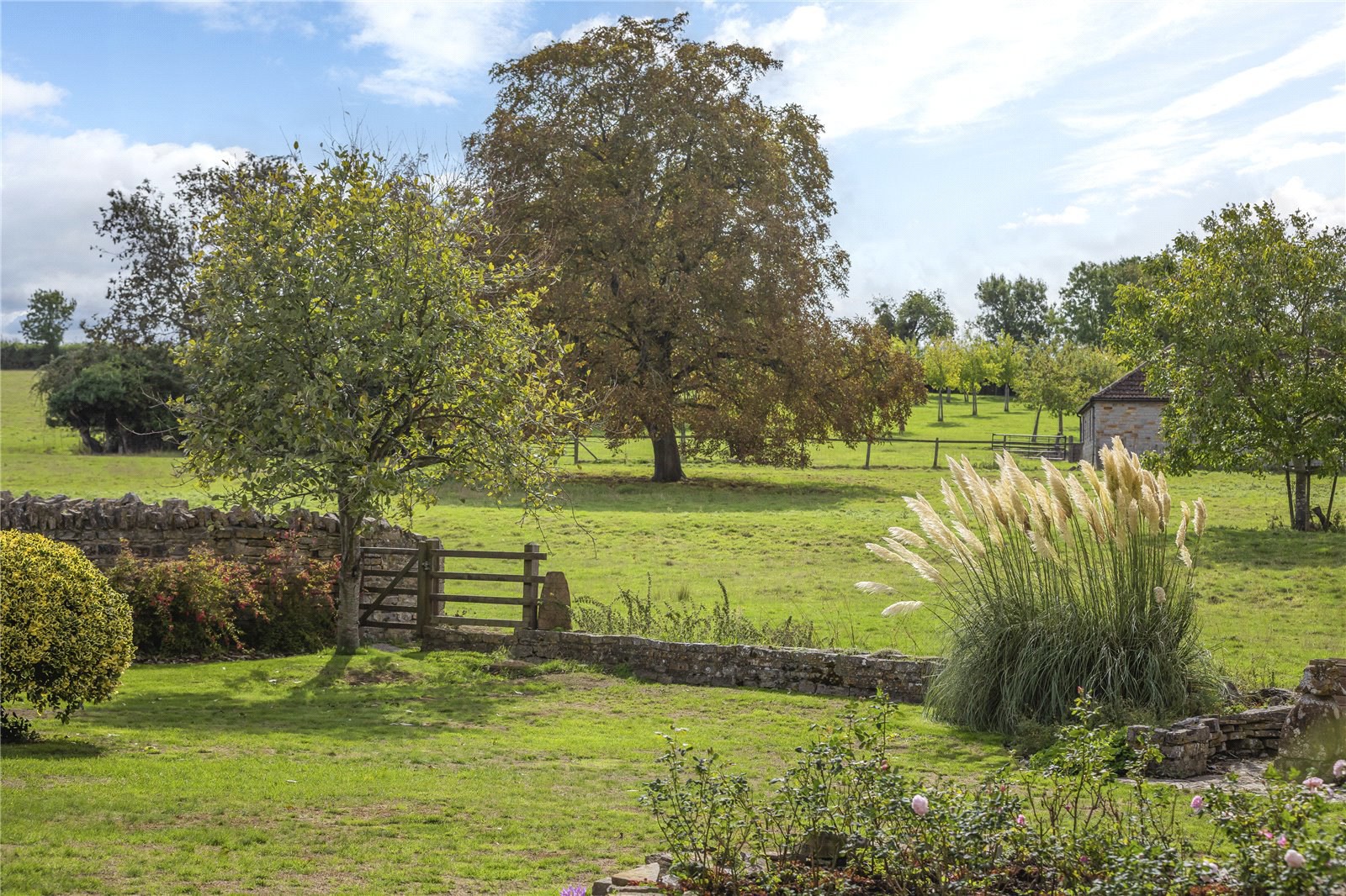 Long Sutton, Langport, Somerset, TA10, photo 12