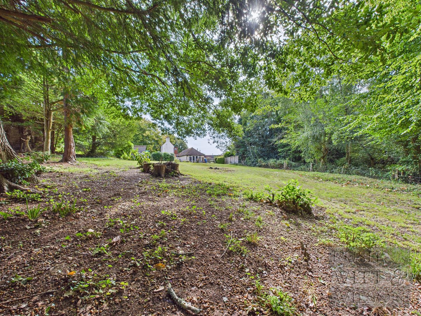 Forewood Lane, Crowhurst, Battle, photo 22