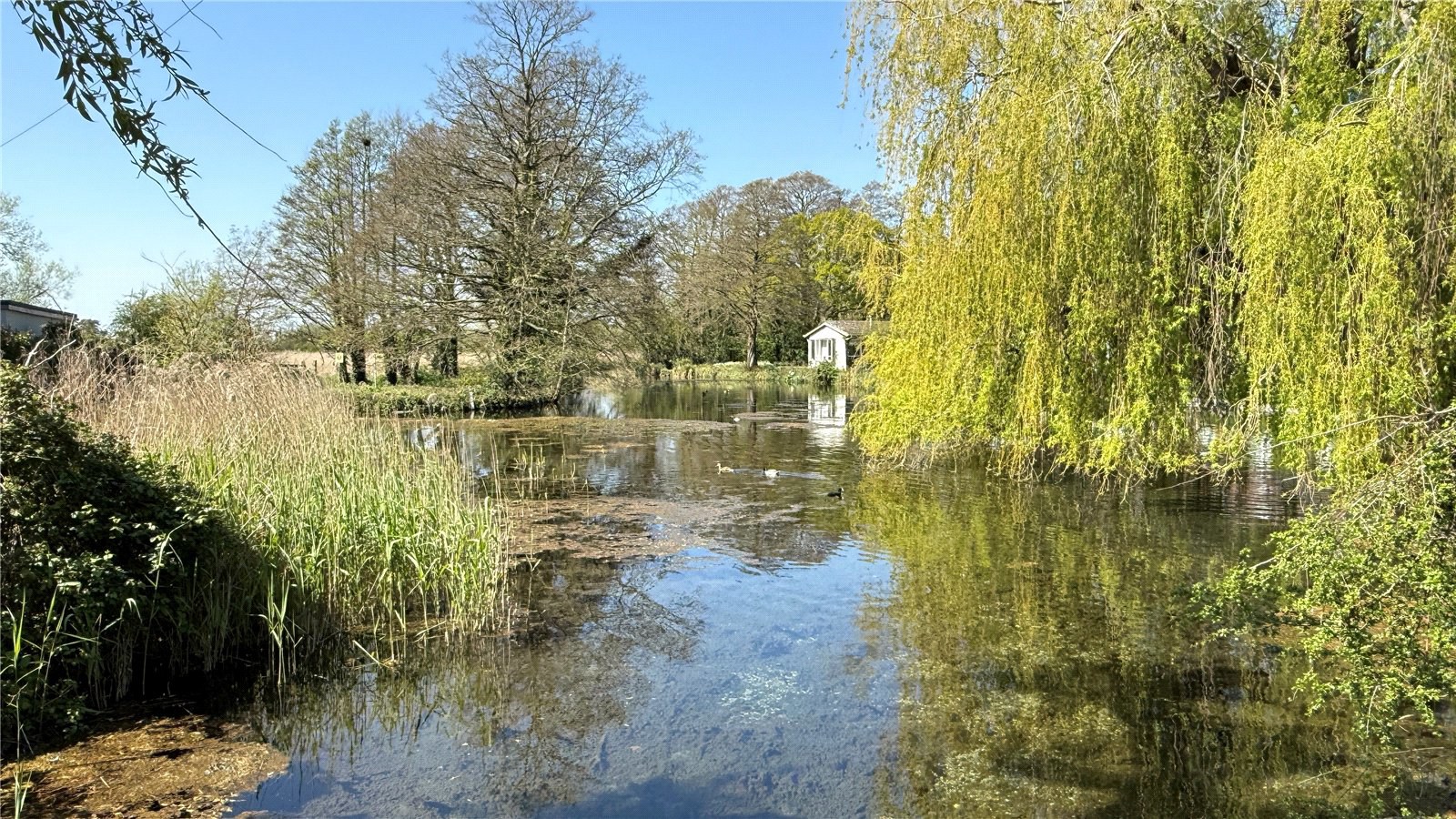 Mill Lane, Chichester, West Sussex, PO19, photo 21