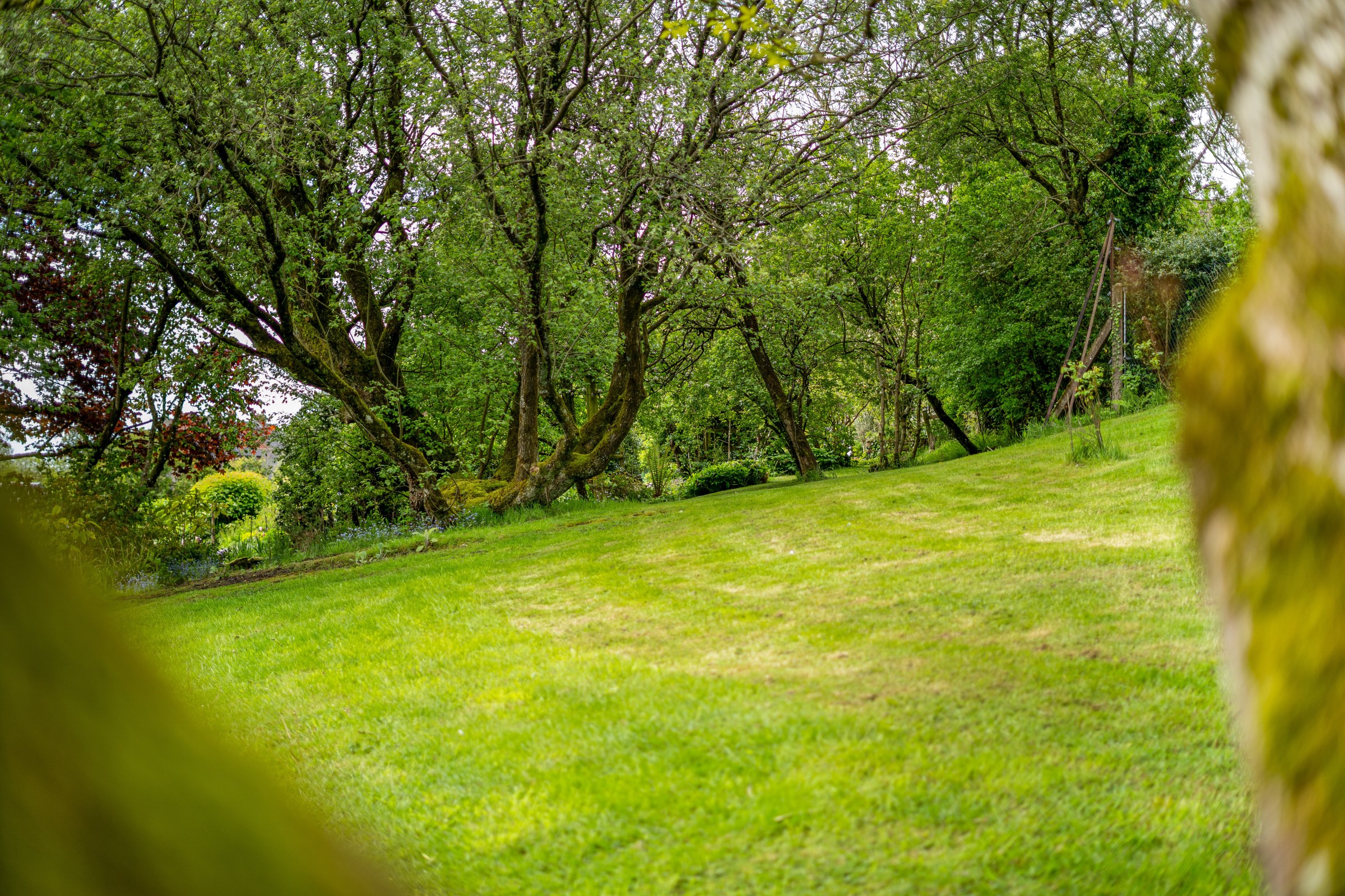 Hopton Bank, Hopton Wafers, DY14, photo 38