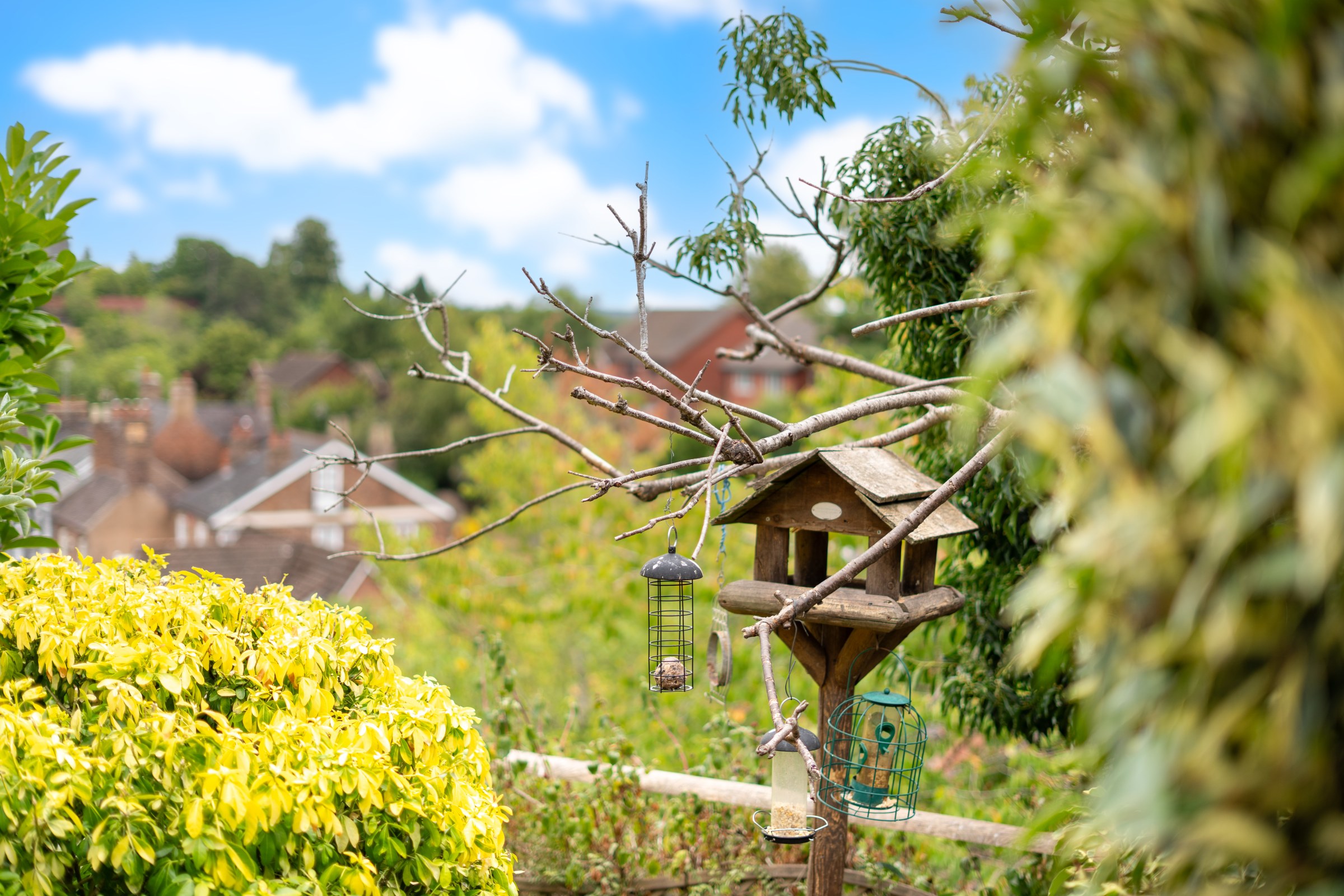 Rosehill Drive, Bridgnorth, WV16, photo 40