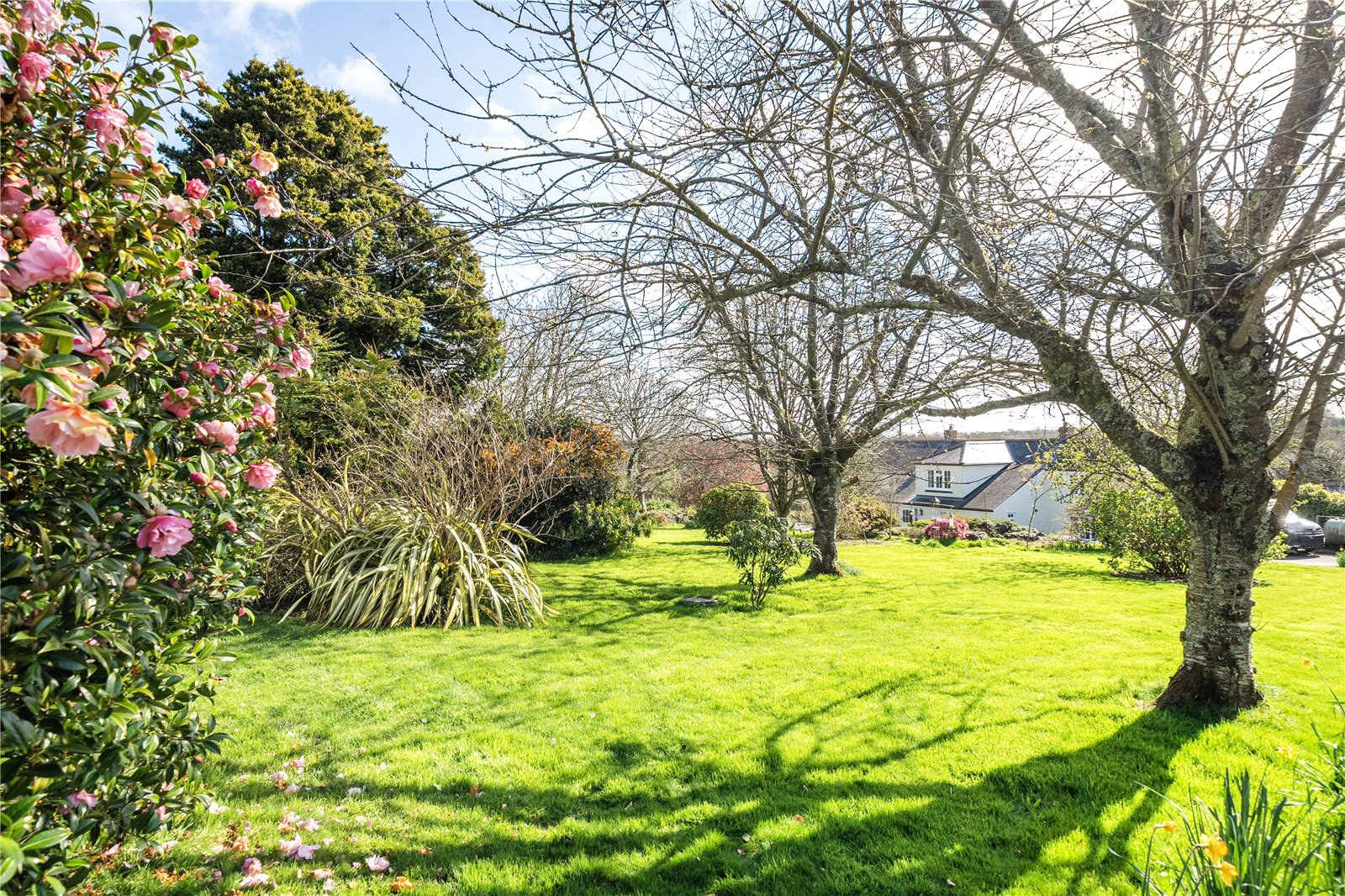 Kerley Downs, Chacewater, Truro, TR4, photo 23