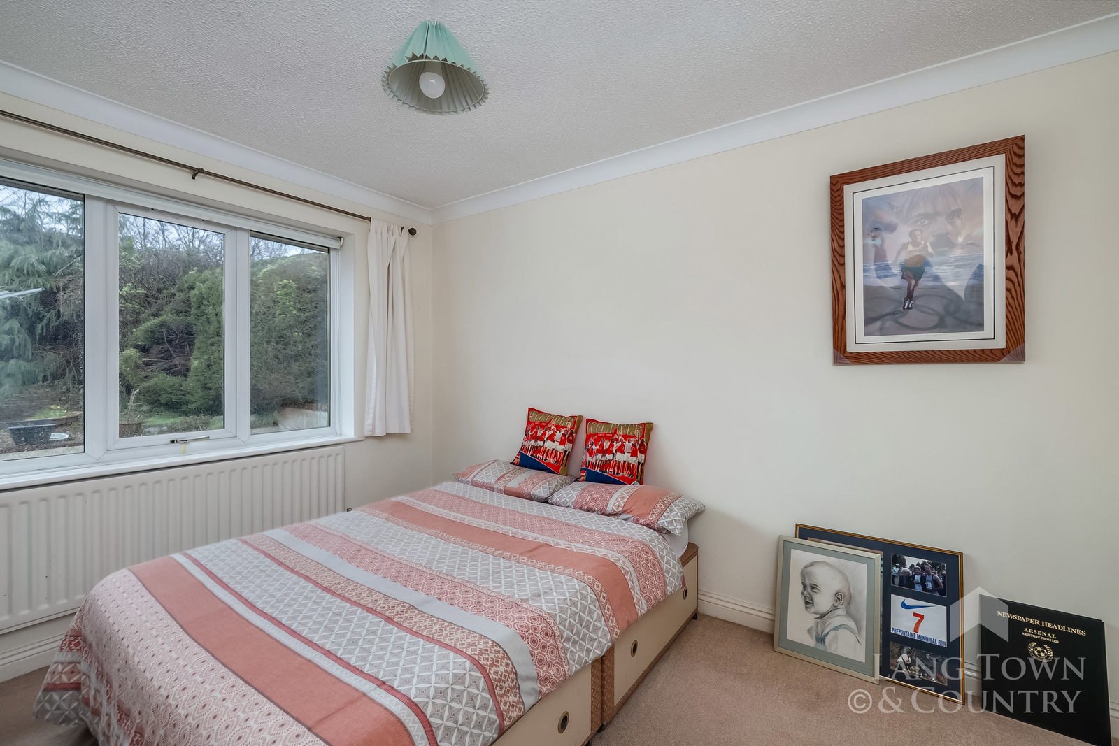 Elmwood Close, Glenholt, Plymouth, photo 9