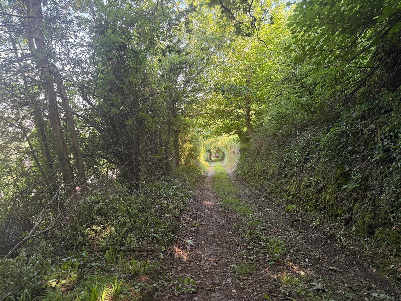Fernfield, Baglan, Port Talbot, Neath Port Talbot., photo 29