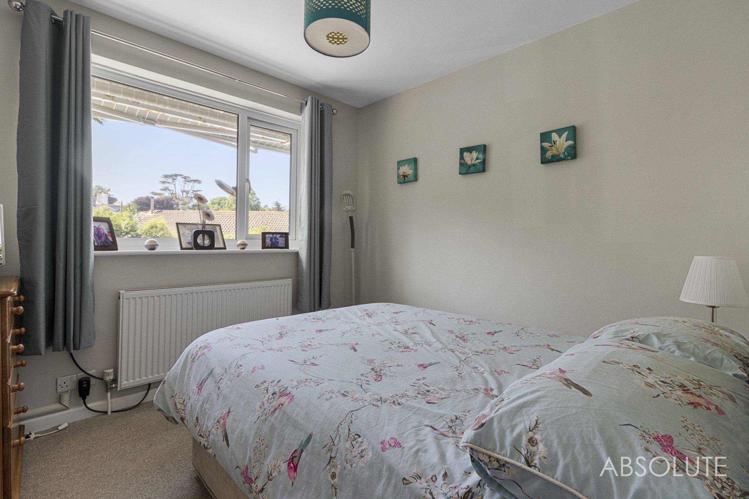Springdale Close, Brixham, TQ5, photo 16