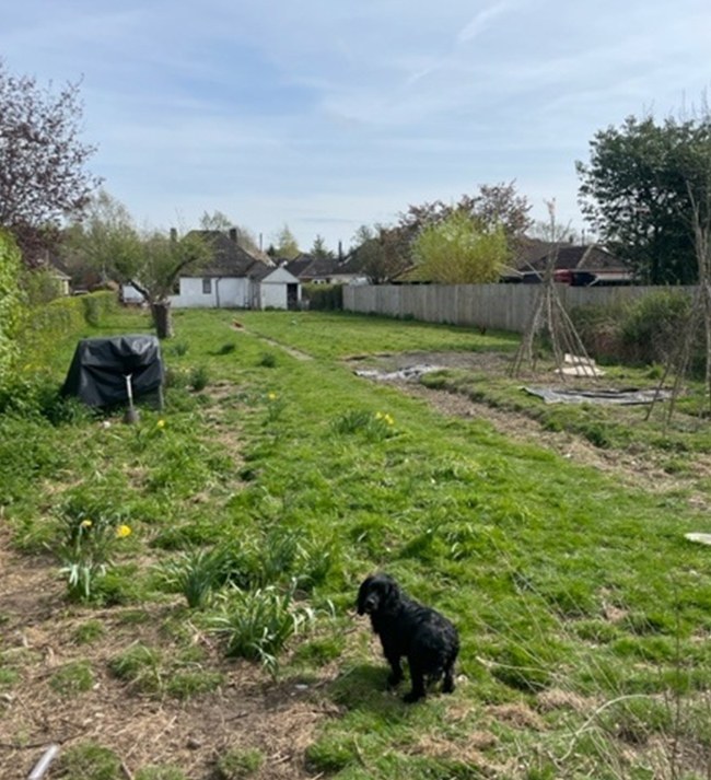 Moor Road, Langham, Essex, CO4, photo 5