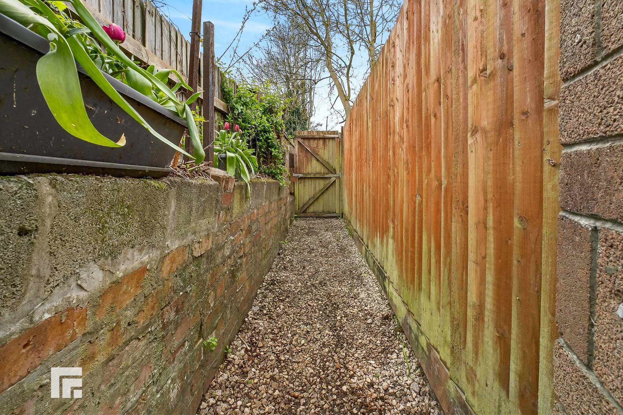 Llandaff Road, Pontcanna, photo 24