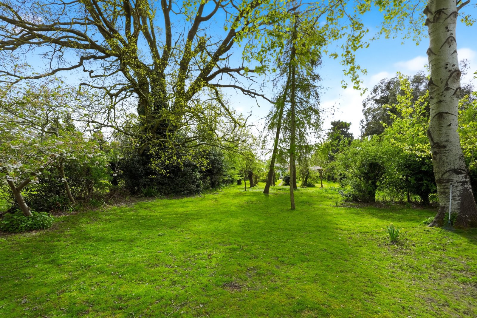 Manor Road, West Bergholt, Colchester, Essex, CO6, photo 37