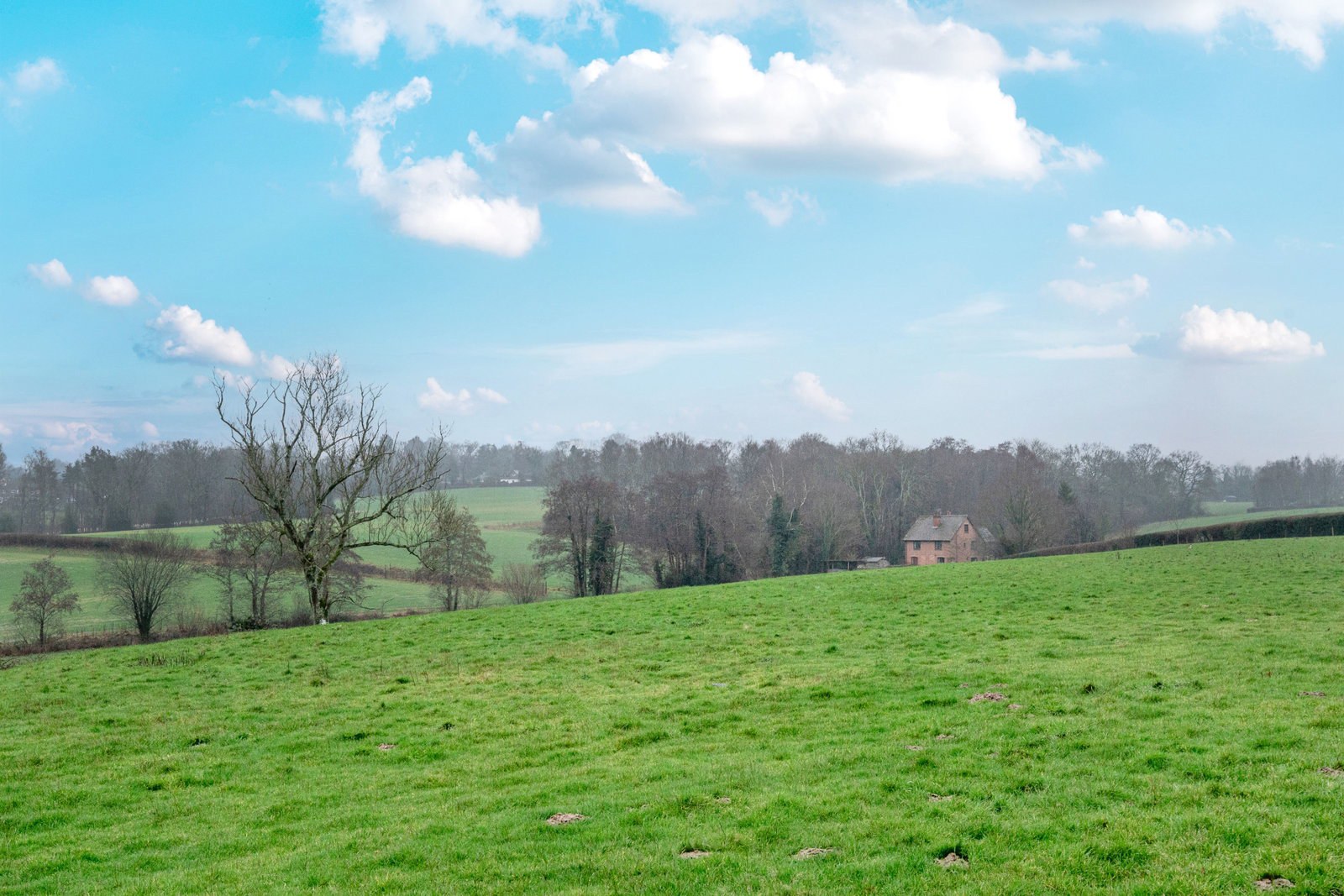 Parrock Lane, Upper Hartfield, Hartfield, photo 26
