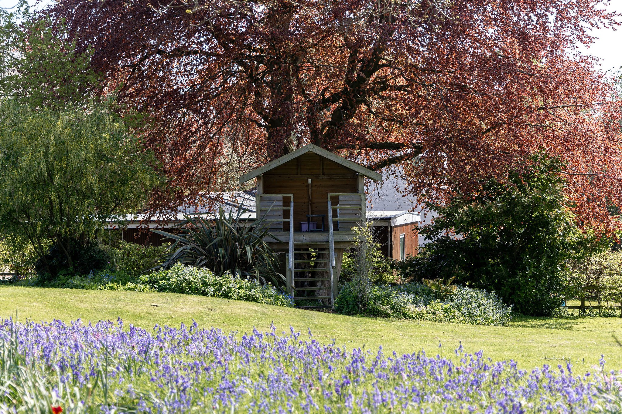 Castle Grounds, Hawarden, CH5, photo 23