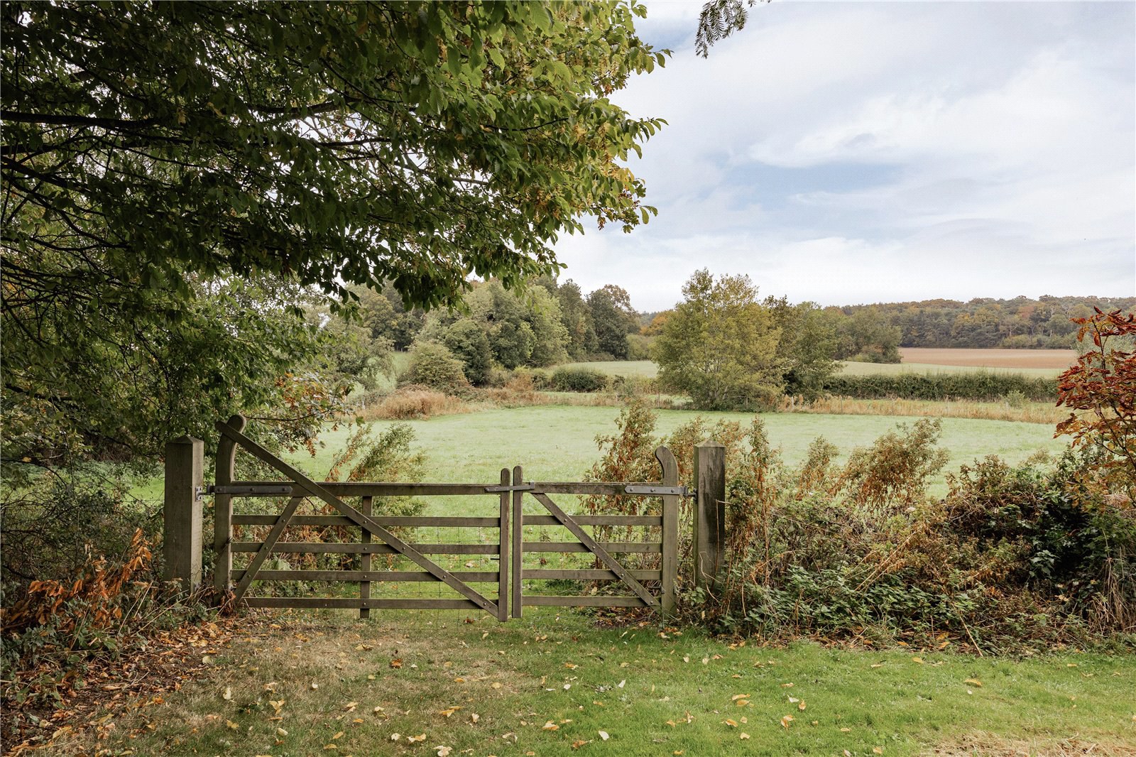 Blakeney Road, Letheringsett, Holt, Norfolk, NR25, photo 27