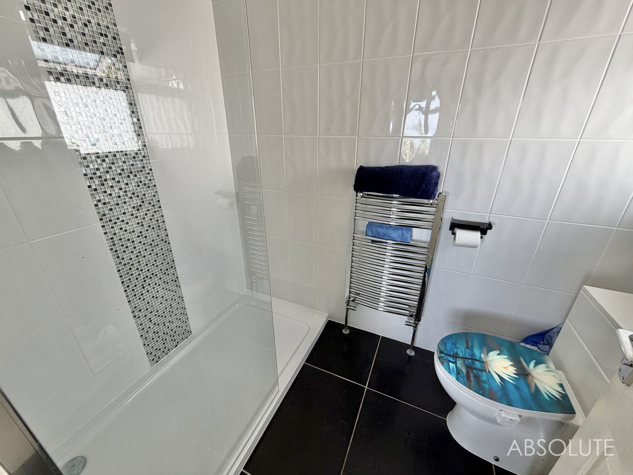 Broadley Drive, Torquay, TQ2, photo 11
