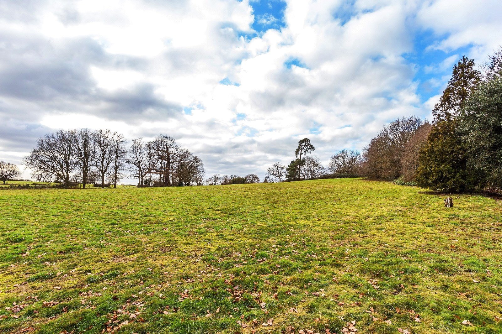Hatchford Manor, Ockham Lane, Cobham, KT11, photo 36
