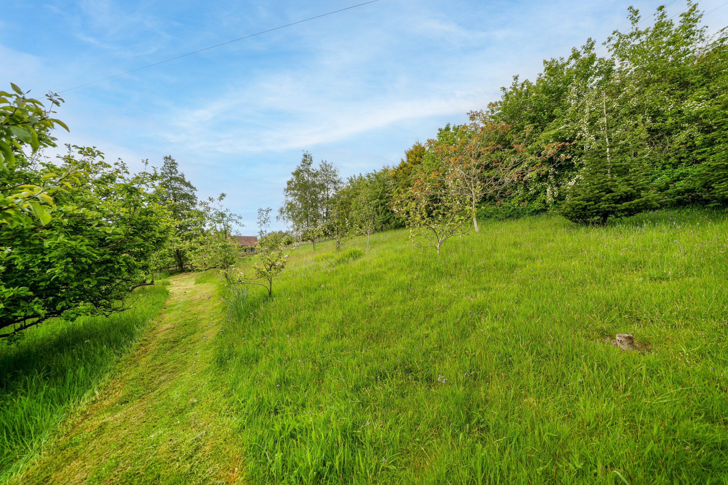 Hopton Bank, Hopton Wafers, DY14, photo 29