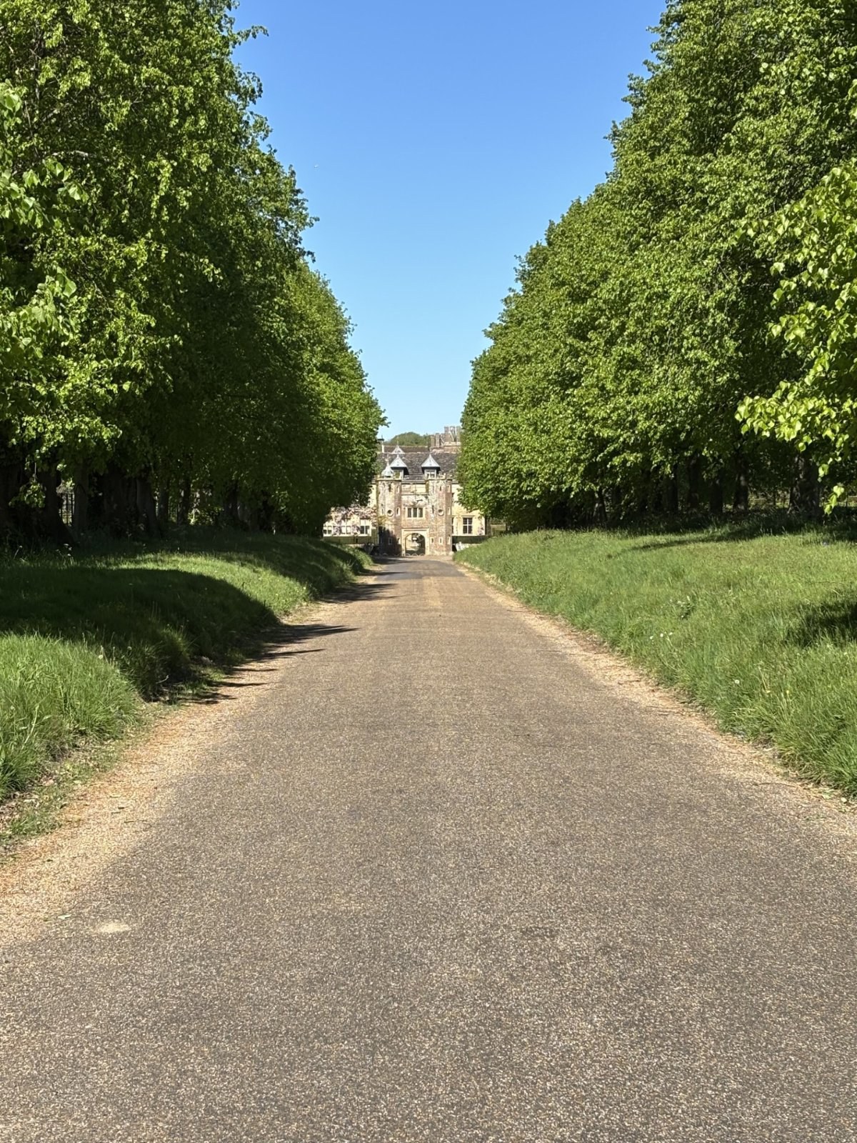Cuckfield Park, South Street, Cuckfield, RH17, photo 10
