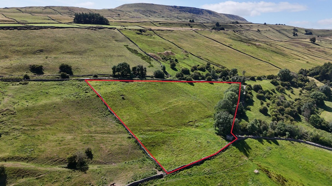 3.21 Acres of Grassland