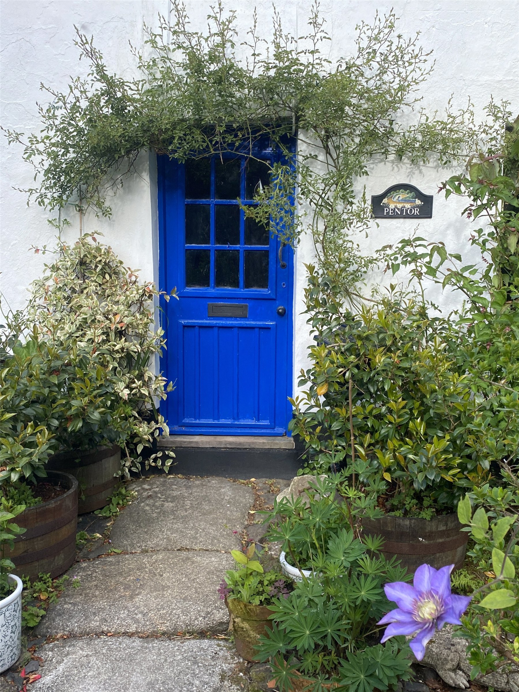 Pentor, Launceston, Cornwall, PL15, photo 18