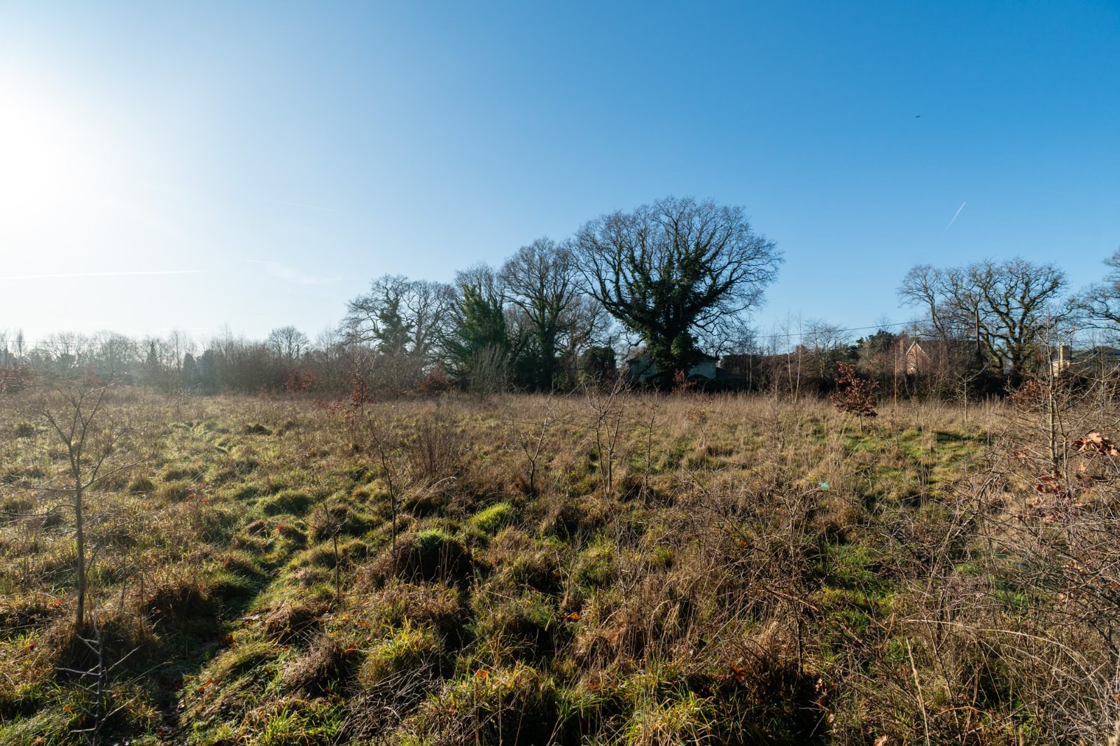 The Folley, Layer de La Haye, Colchester, Essex, CO2, photo 19