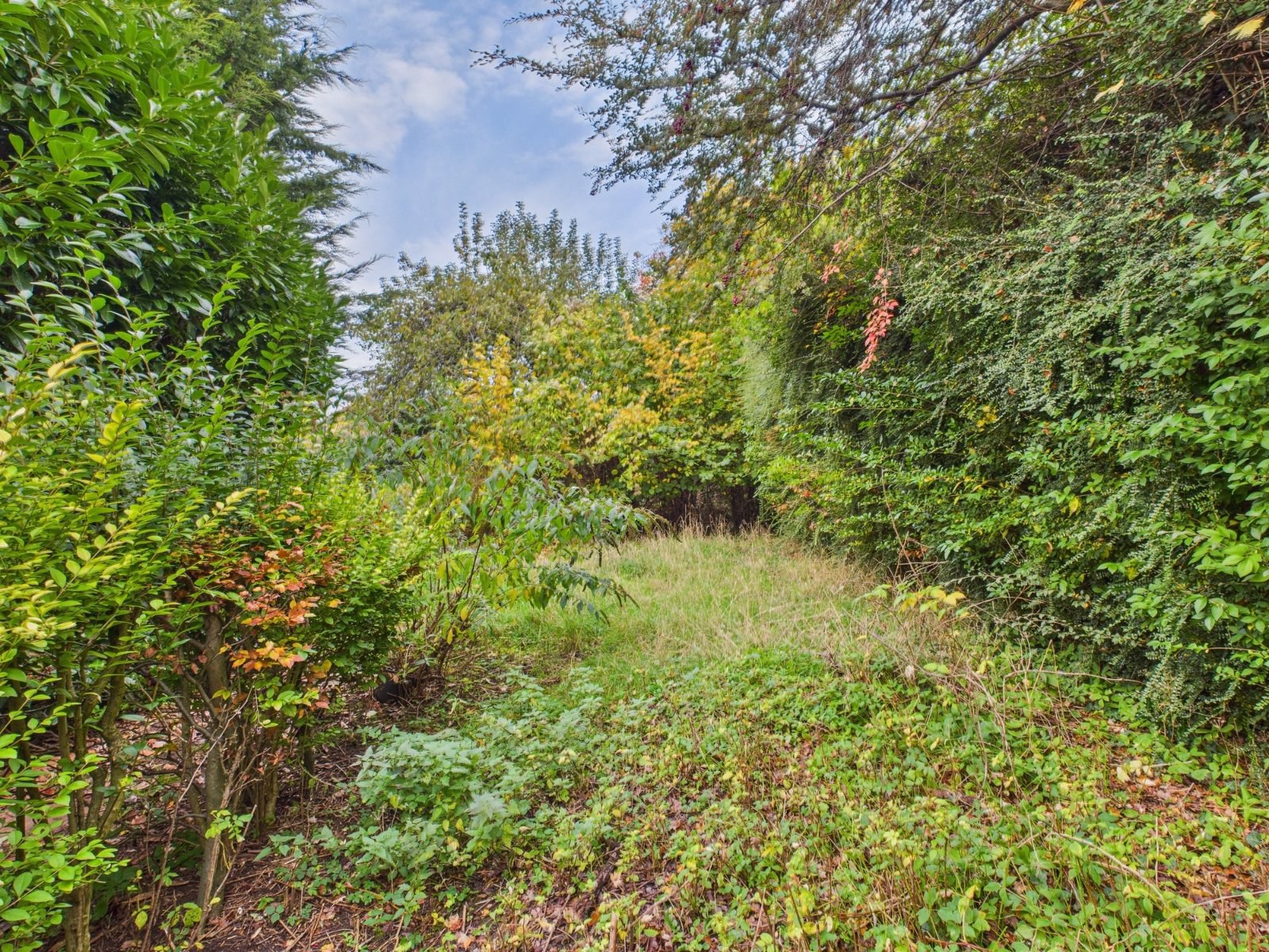 Park Lane, Lane End, Buckinghamshire, HP14, photo 10