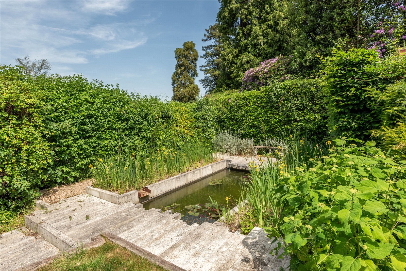 Deepdene Wood, Dorking, Surrey, RH5, photo 30
