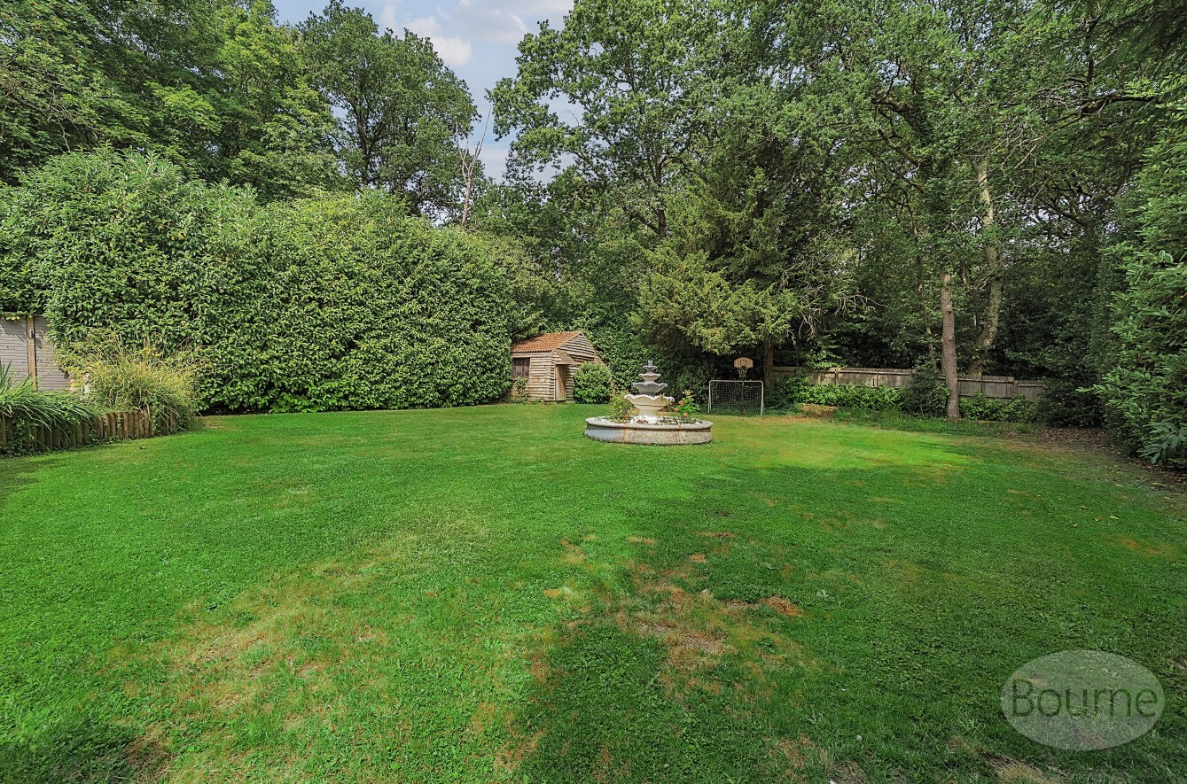 Elm Hill, Normandy, Guildford, Surrey, GU3, photo 24