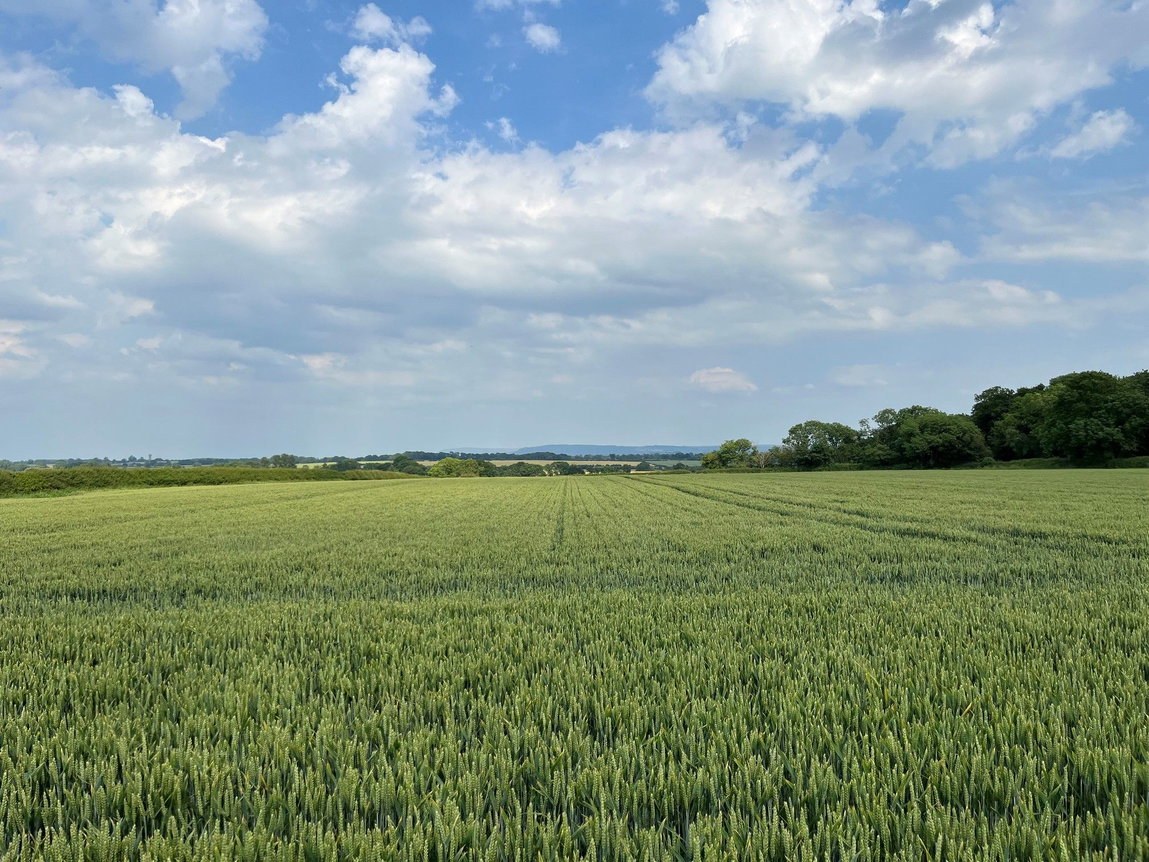 26.79 Acres Approx Mounstrall Lane