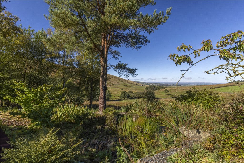 Skipton Old Road, Colne, Lancashire, BB8, photo 20