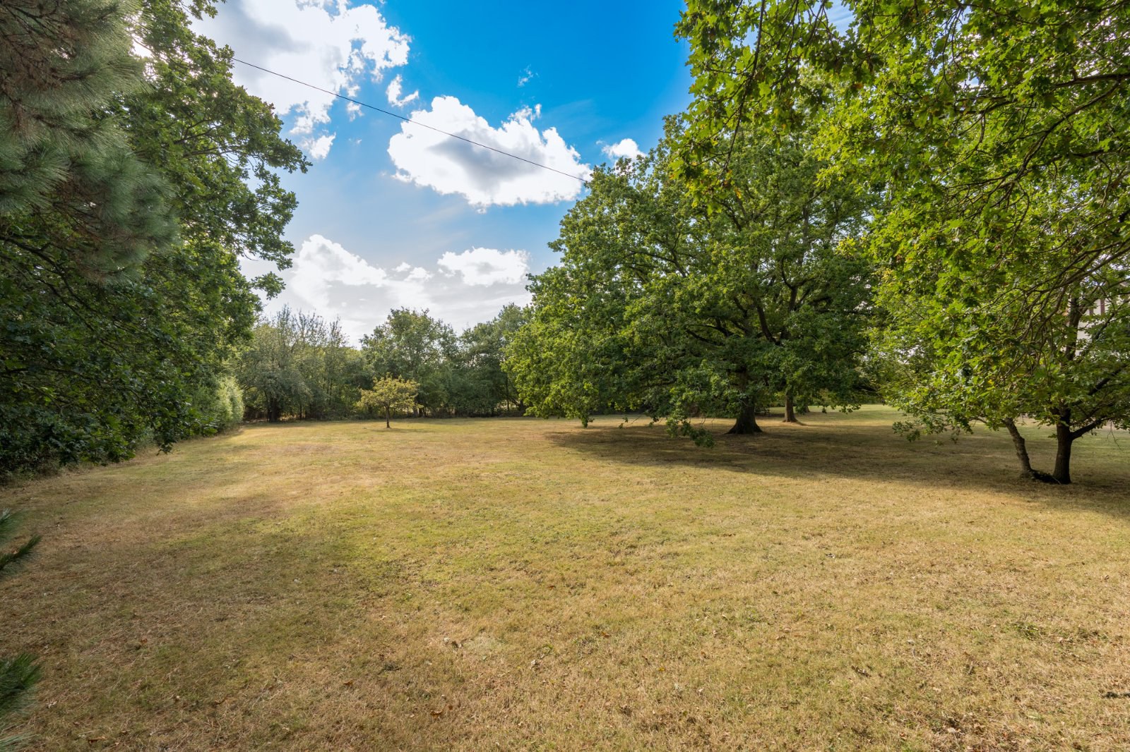 Little Ditches, London Road, Little Clacton, Essex, CO16, photo 4