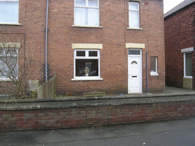 Lily Avenue