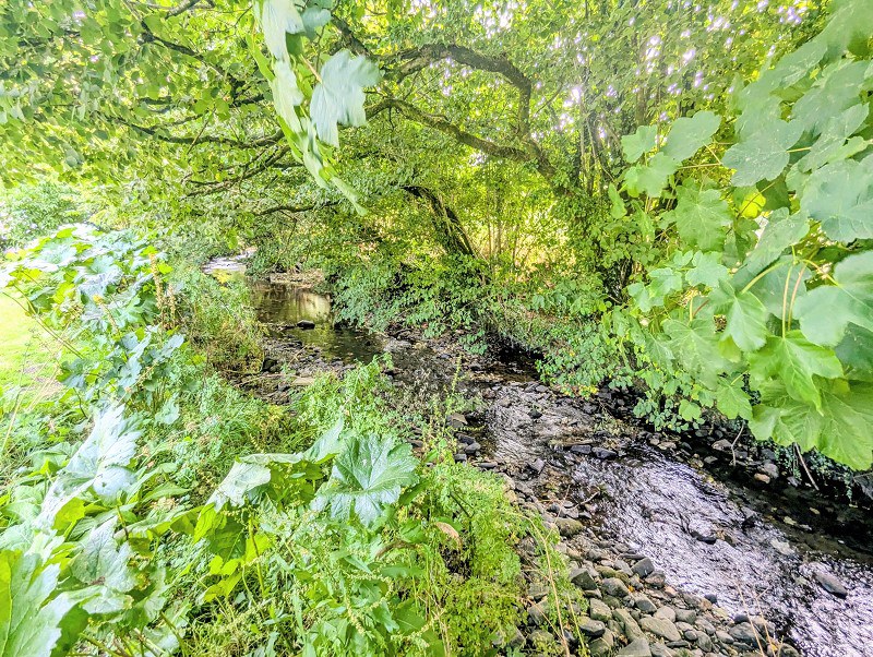 Nantgaredig, Carmarthen, Carmarthenshire., photo 38