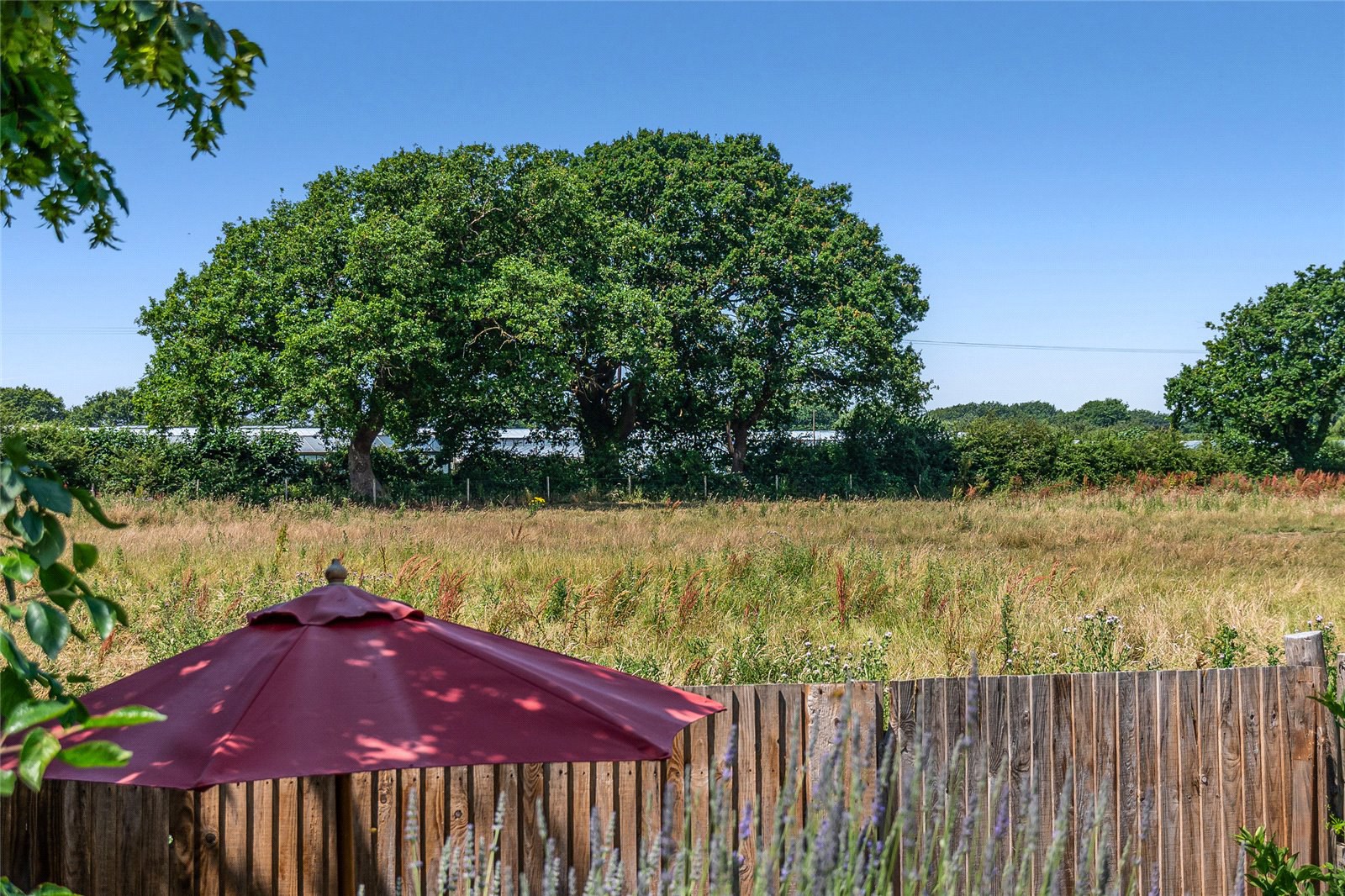 Lockgate Road, Sidlesham Common, Chichester, West Sussex, PO20, photo 20