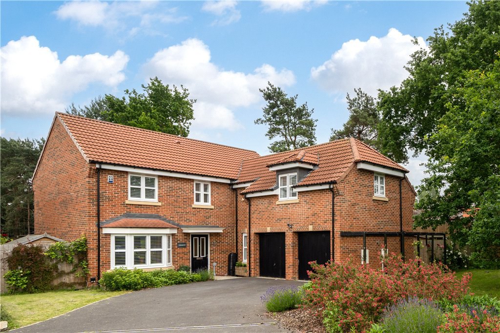 Wren Drive
