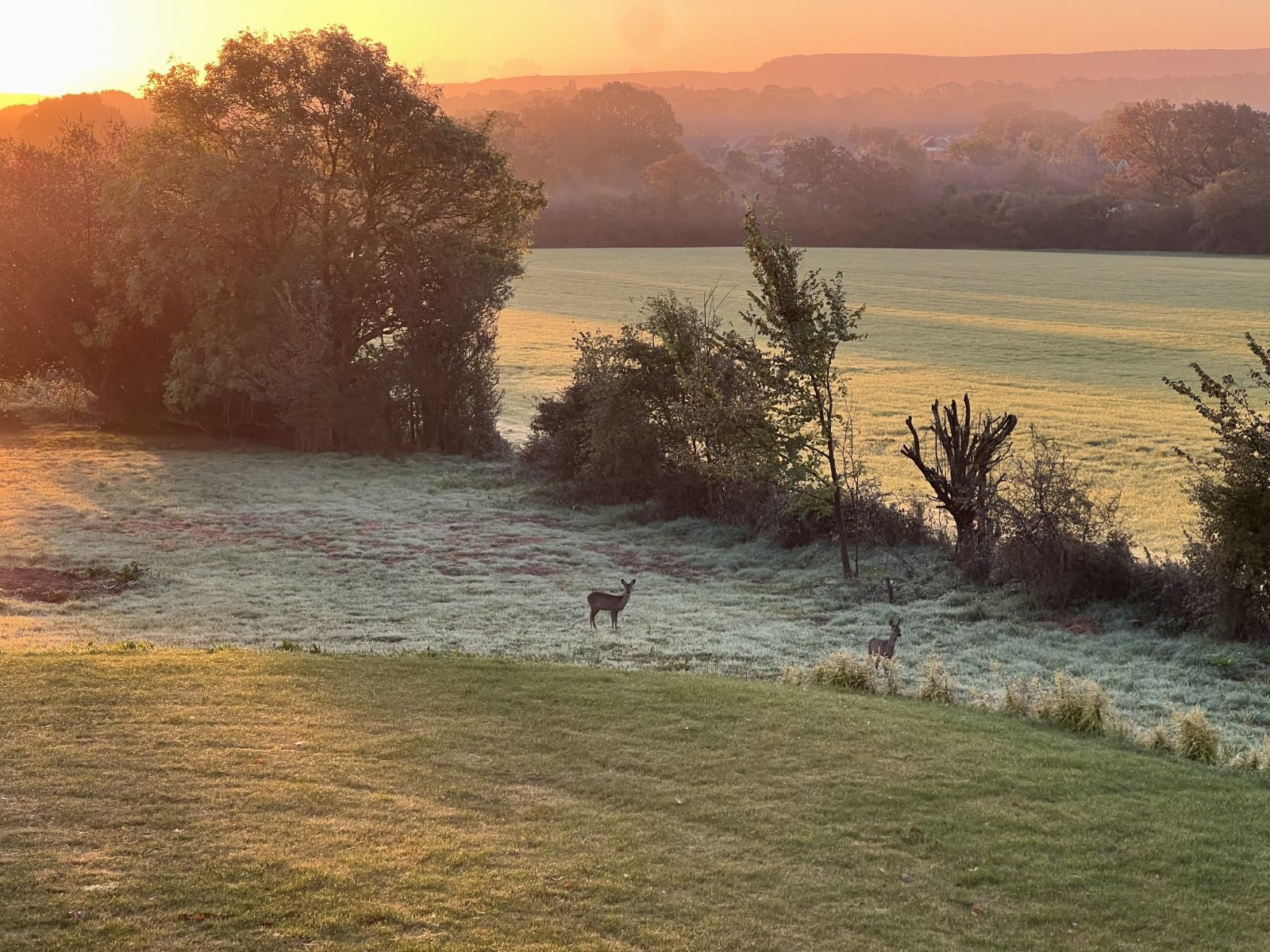 Langton Lane, Hurstpierpoint, BN6, photo 19