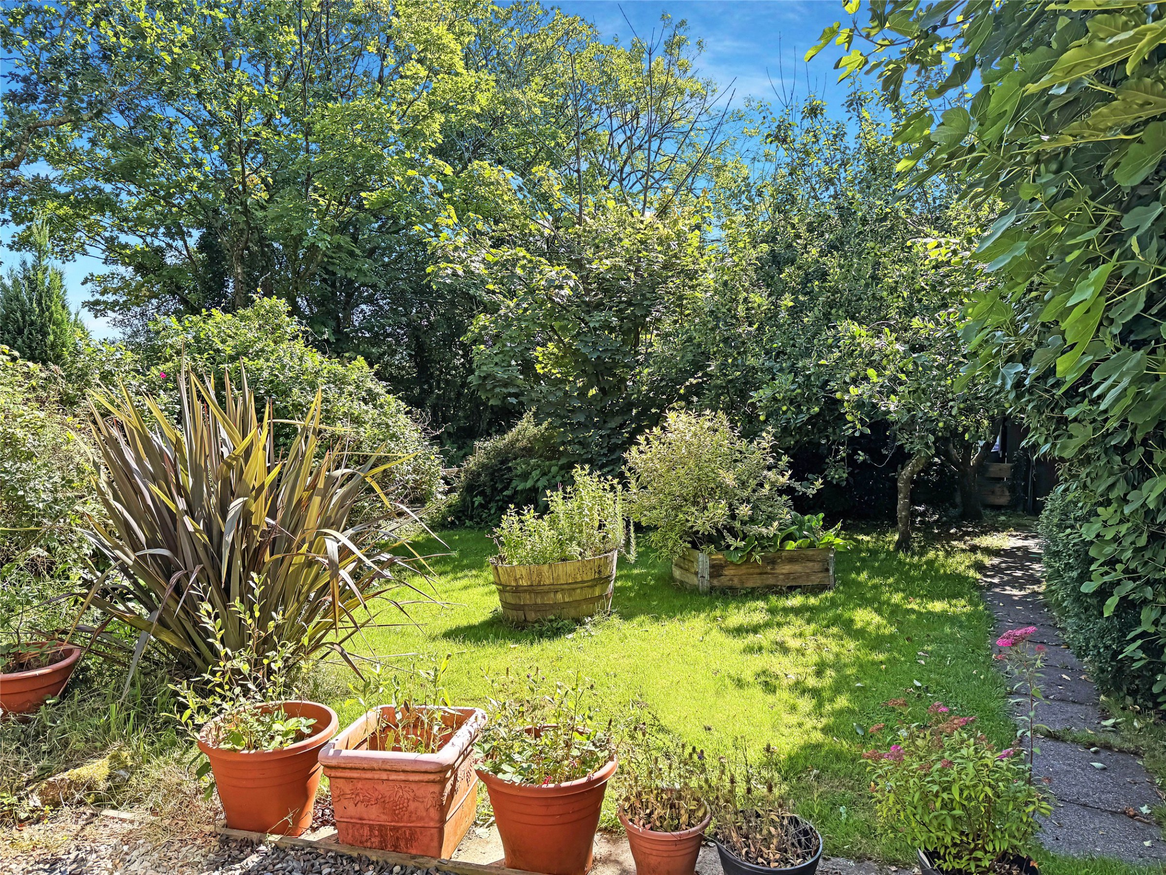 Halgavor Lane, Bodmin, Cornwall, PL31, photo 3