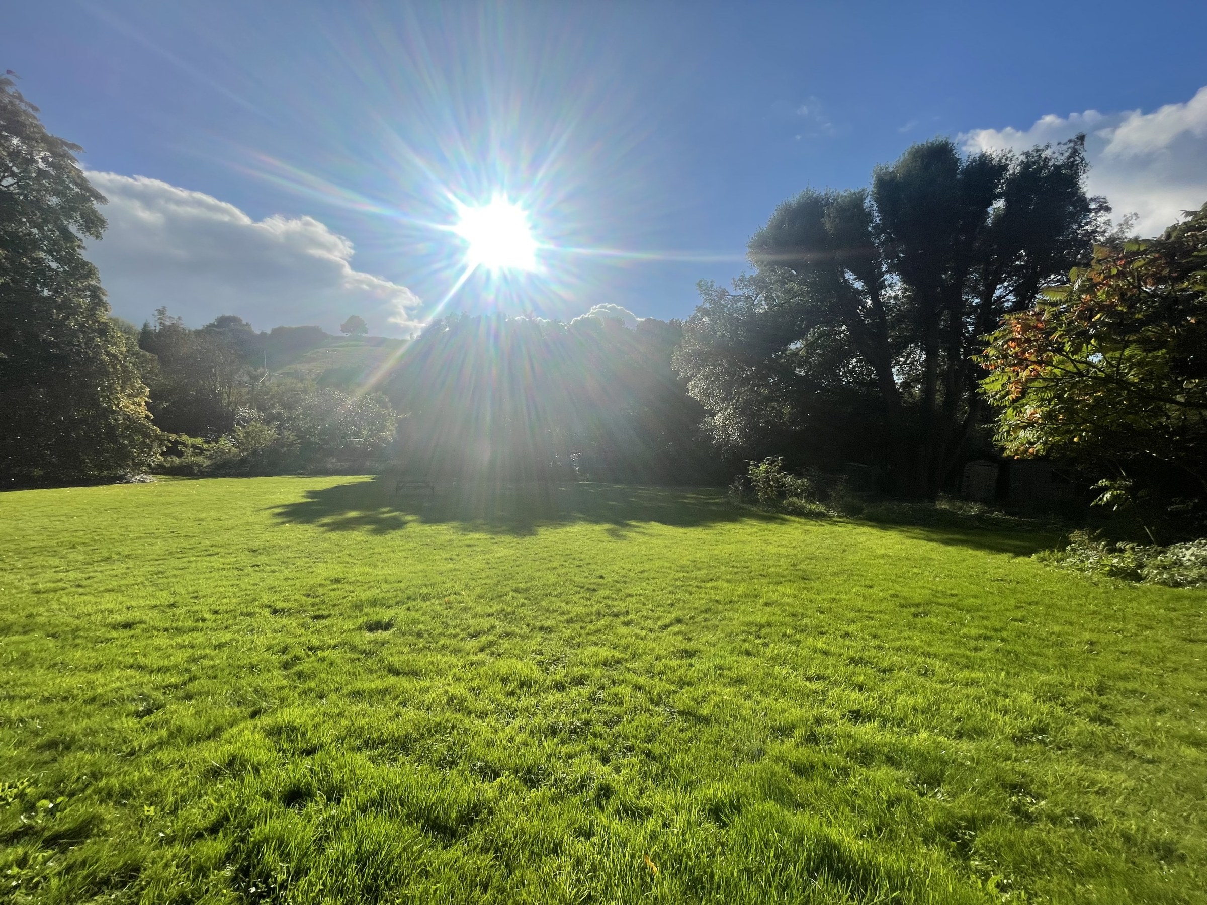 Shaldon Road, Combeinteignhead, TQ12, photo 17