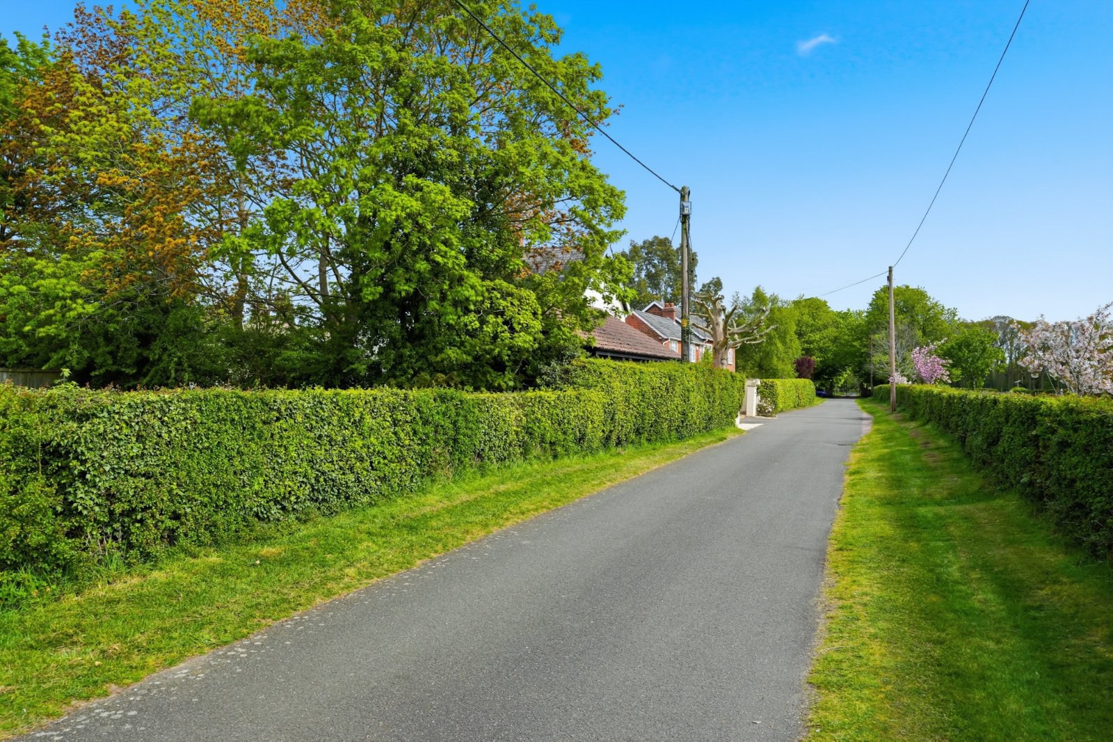 Manor Road, West Bergholt, Colchester, Essex, CO6, photo 38