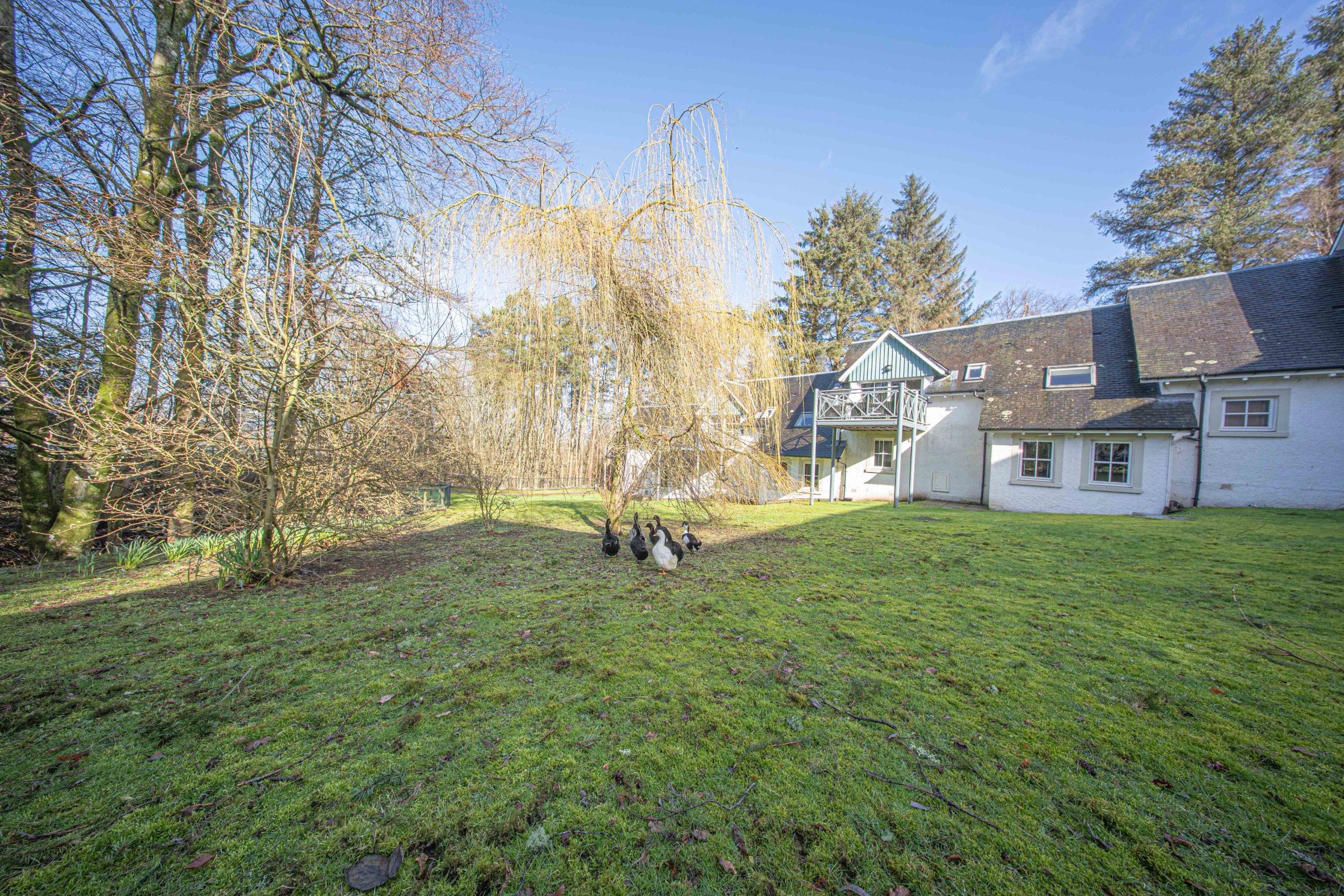 Lodge, 506 Duchally Country Estate, Auchterarder, PH3 1PN, photo 27