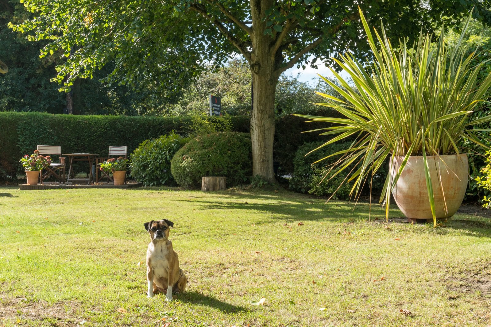 Waterhouse Lane, Ardleigh, Colchester, Essex, CO7, photo 34