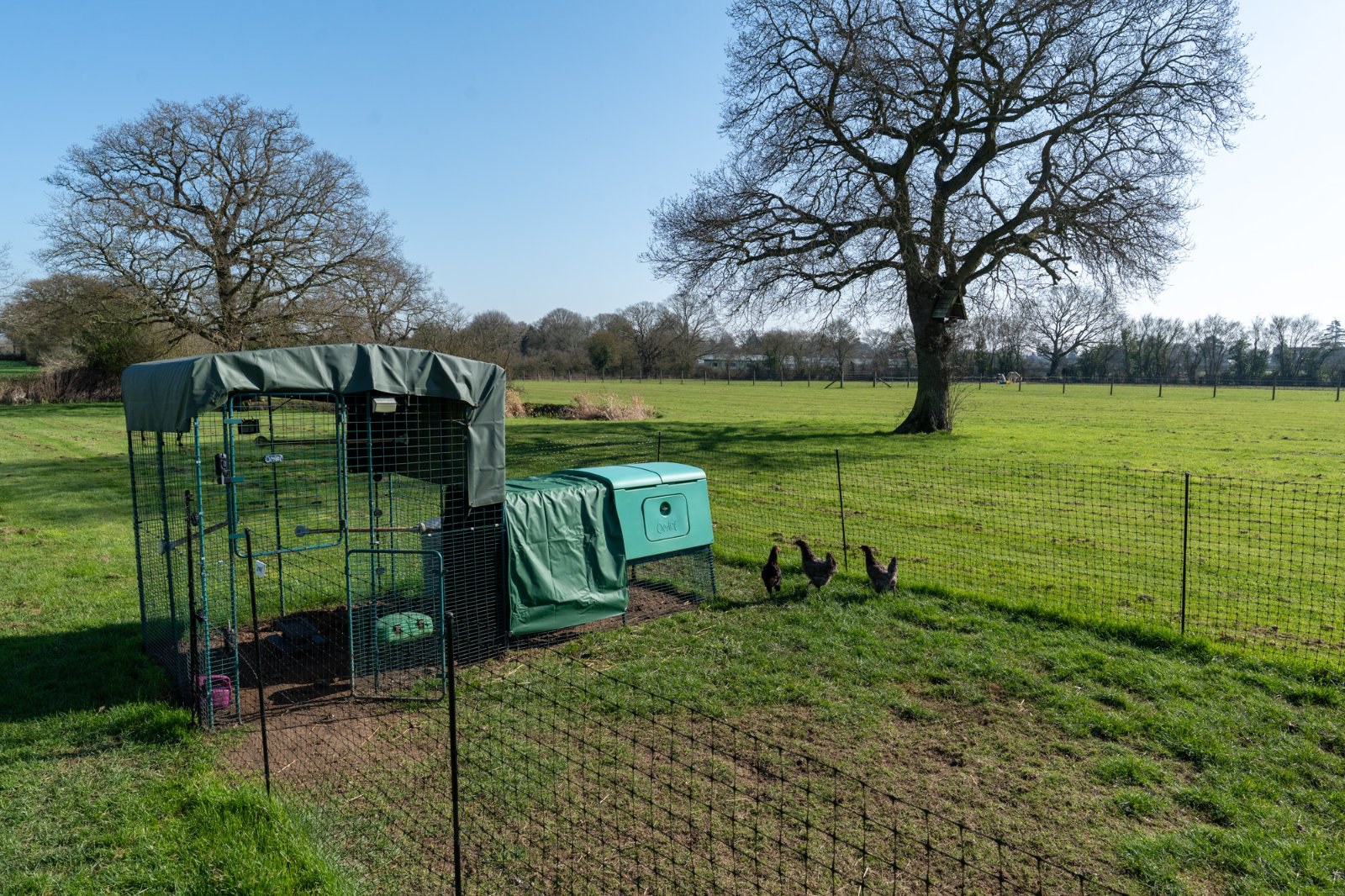 Bures Road, West Bergholt, Colchester, Essex, CO6, photo 30