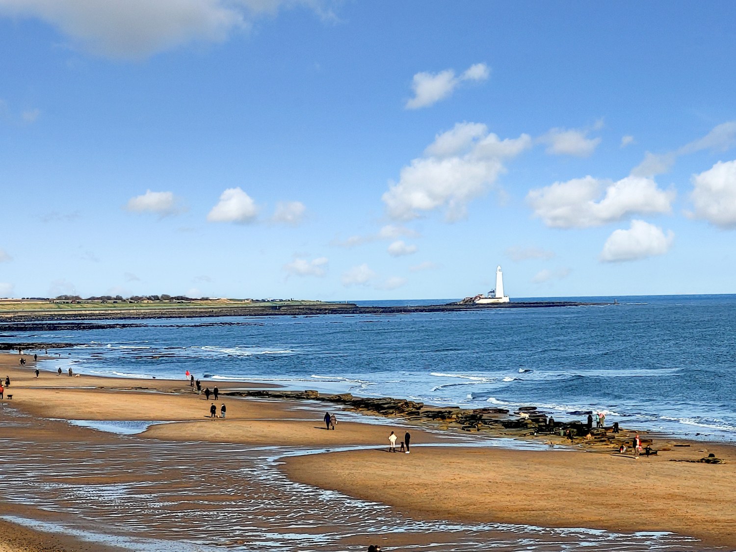 Burnfoot Terrace, Whitley Bay, NE26, photo 15