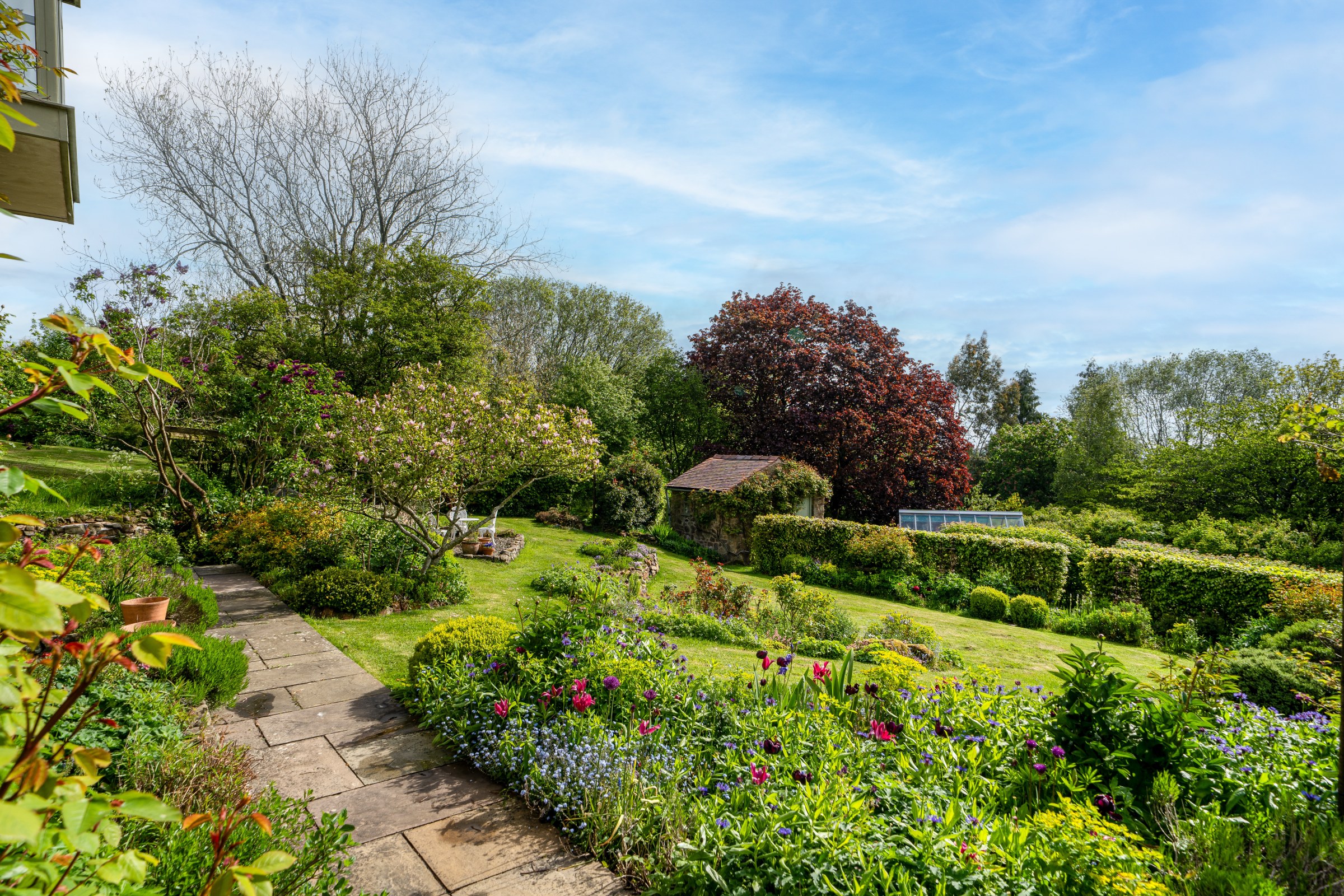 Hopton Bank, Hopton Wafers, DY14, photo 4