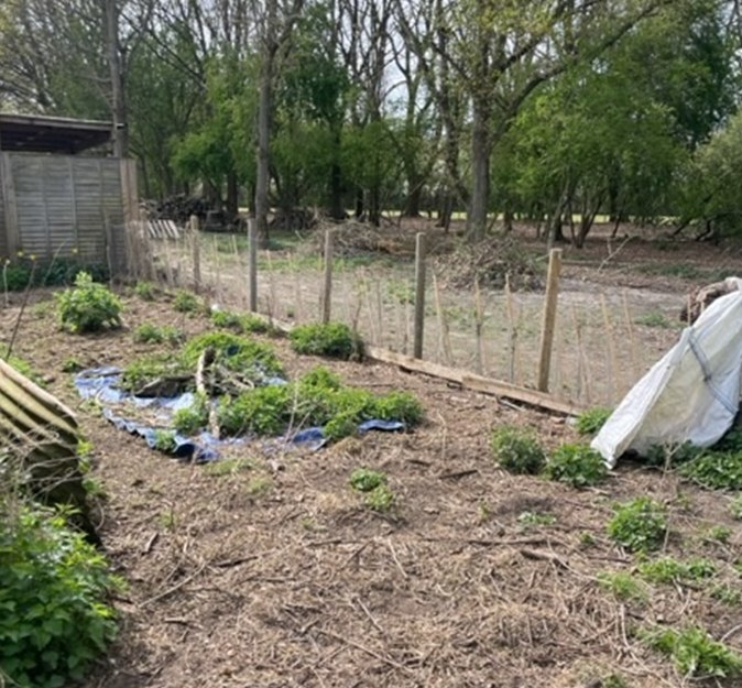 Moor Road, Langham, Essex, CO4, photo 6