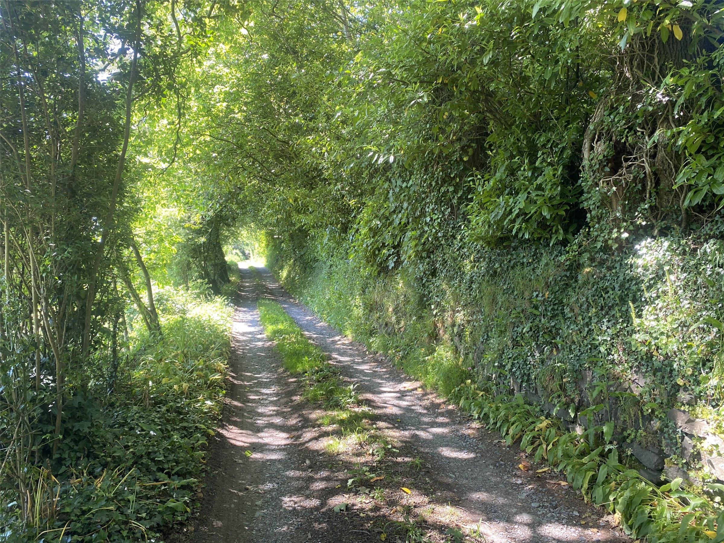 Photo 25