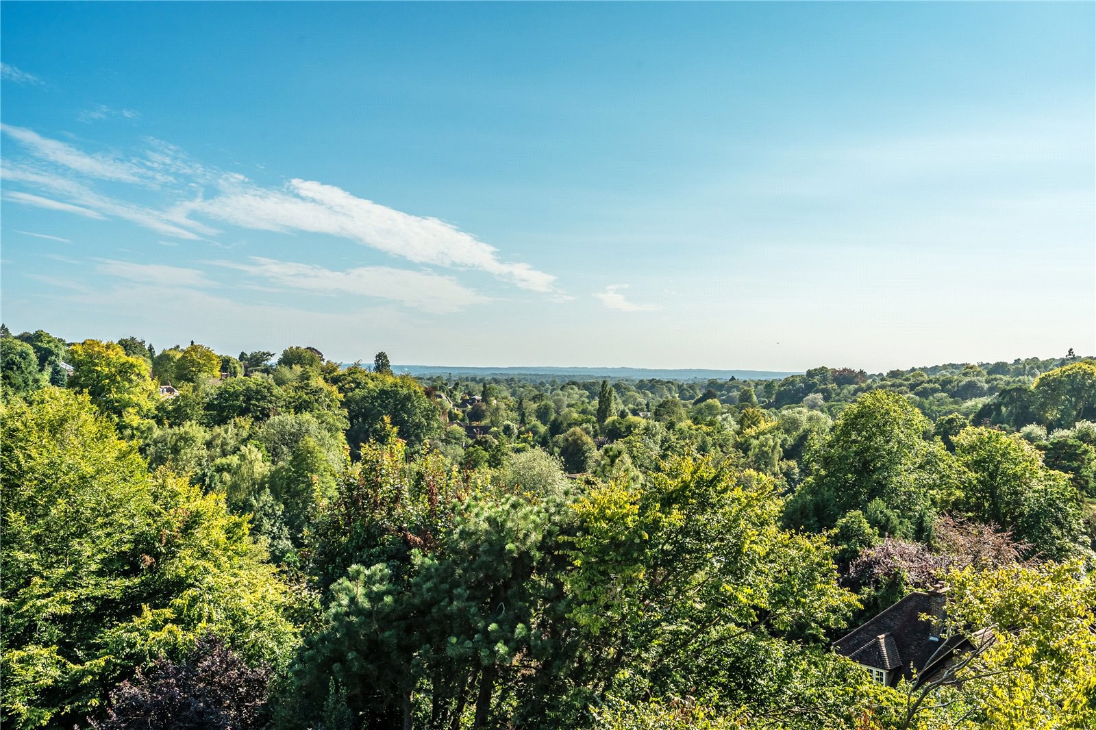 West Hill, Oxted, Surrey, RH8, photo 11