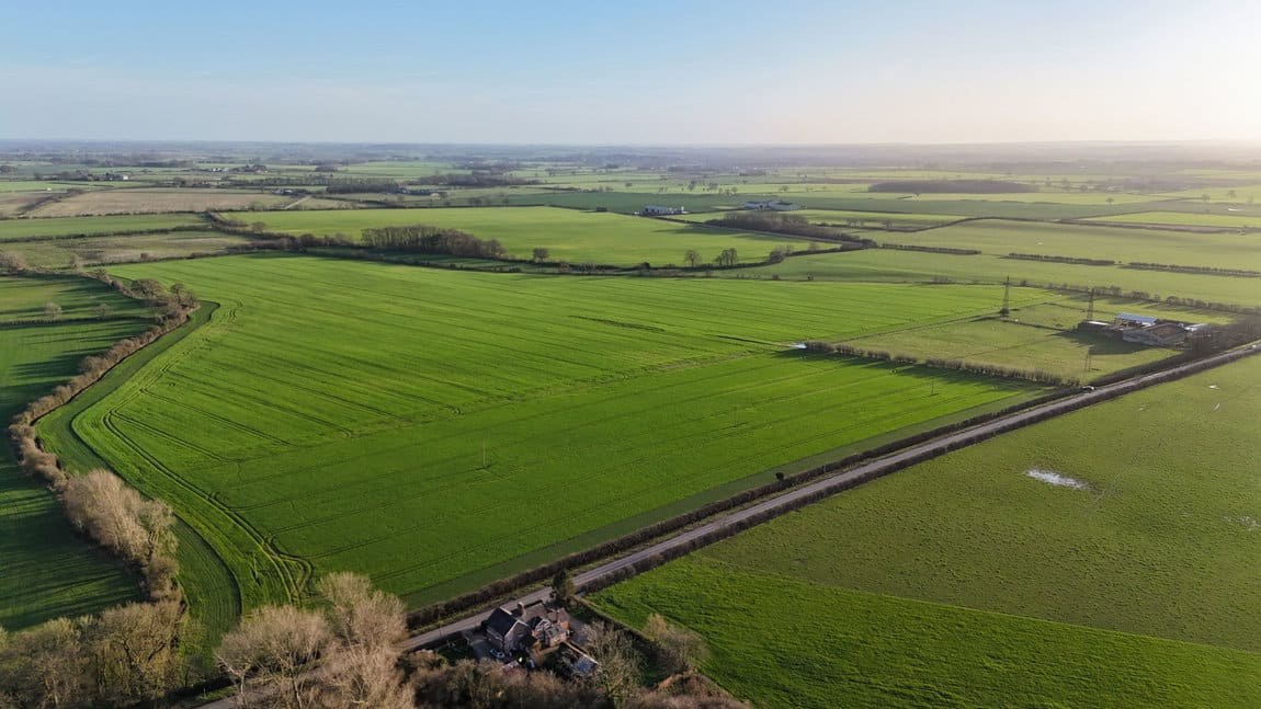 Lot 3: 77.32 Acres of Land